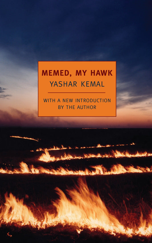 Memed, My Hawk (Memed)
