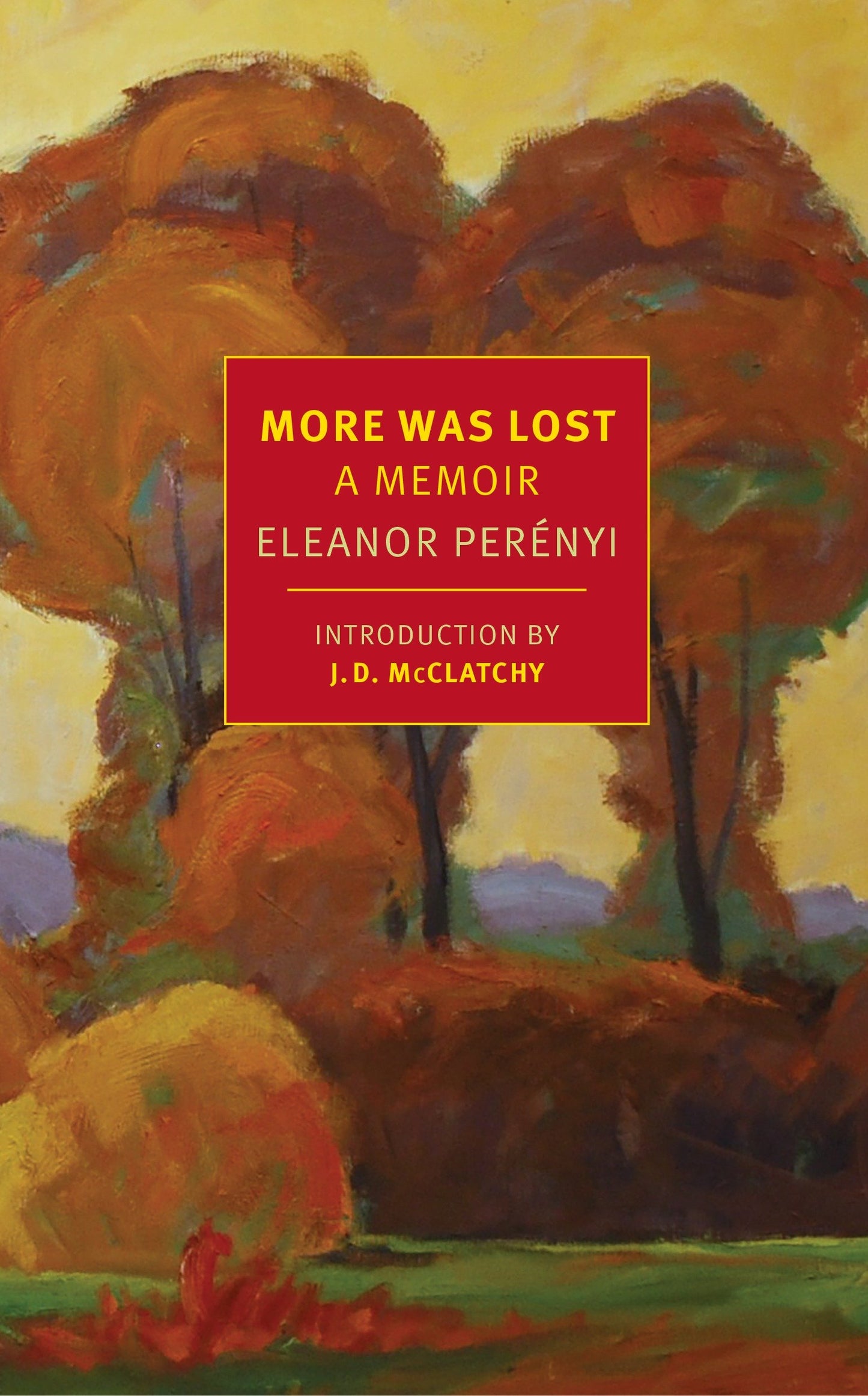 More Was Lost - A Memoir
