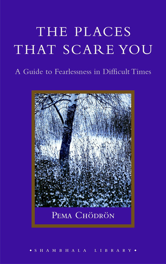 The Places That Scare You - A Guide to Fearlessness in Difficult Times (Shambhala Library)