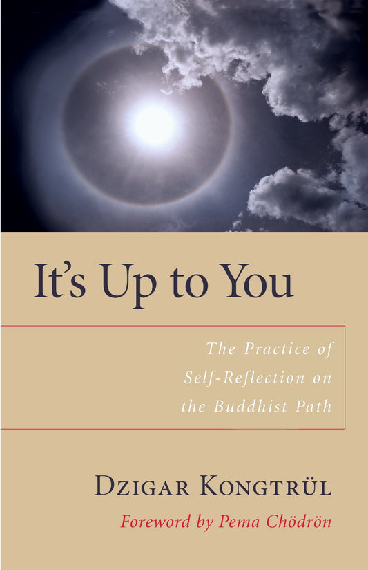 It's Up to You - The Practice of Self-Reflection on the Buddhist Path
