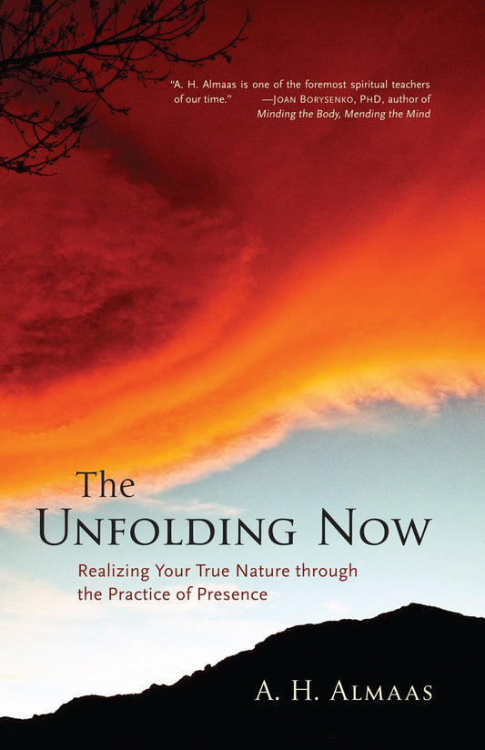 The Unfolding Now - Realizing Your True Nature through the Practice of Presence