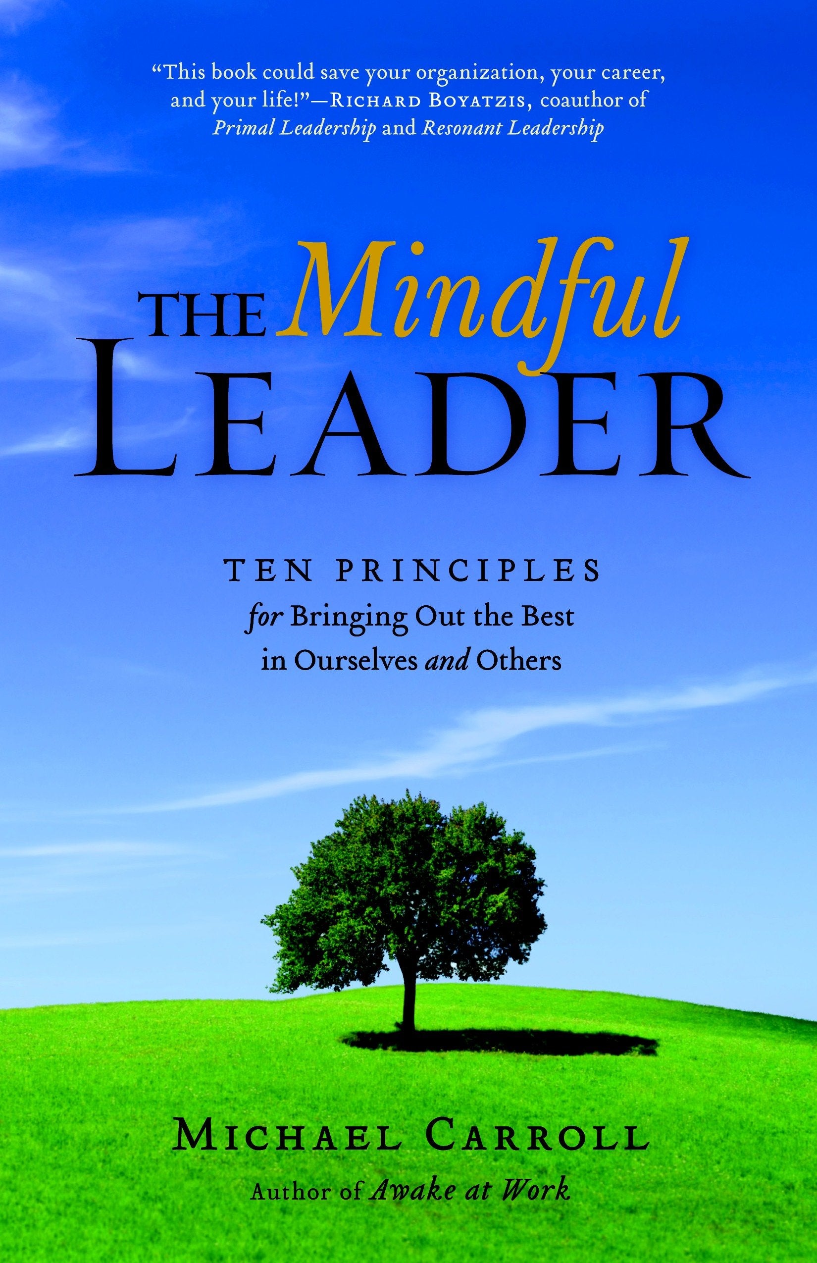 The Mindful Leader - Awakening Your Natural Management Skills Through Mindfulness Meditation