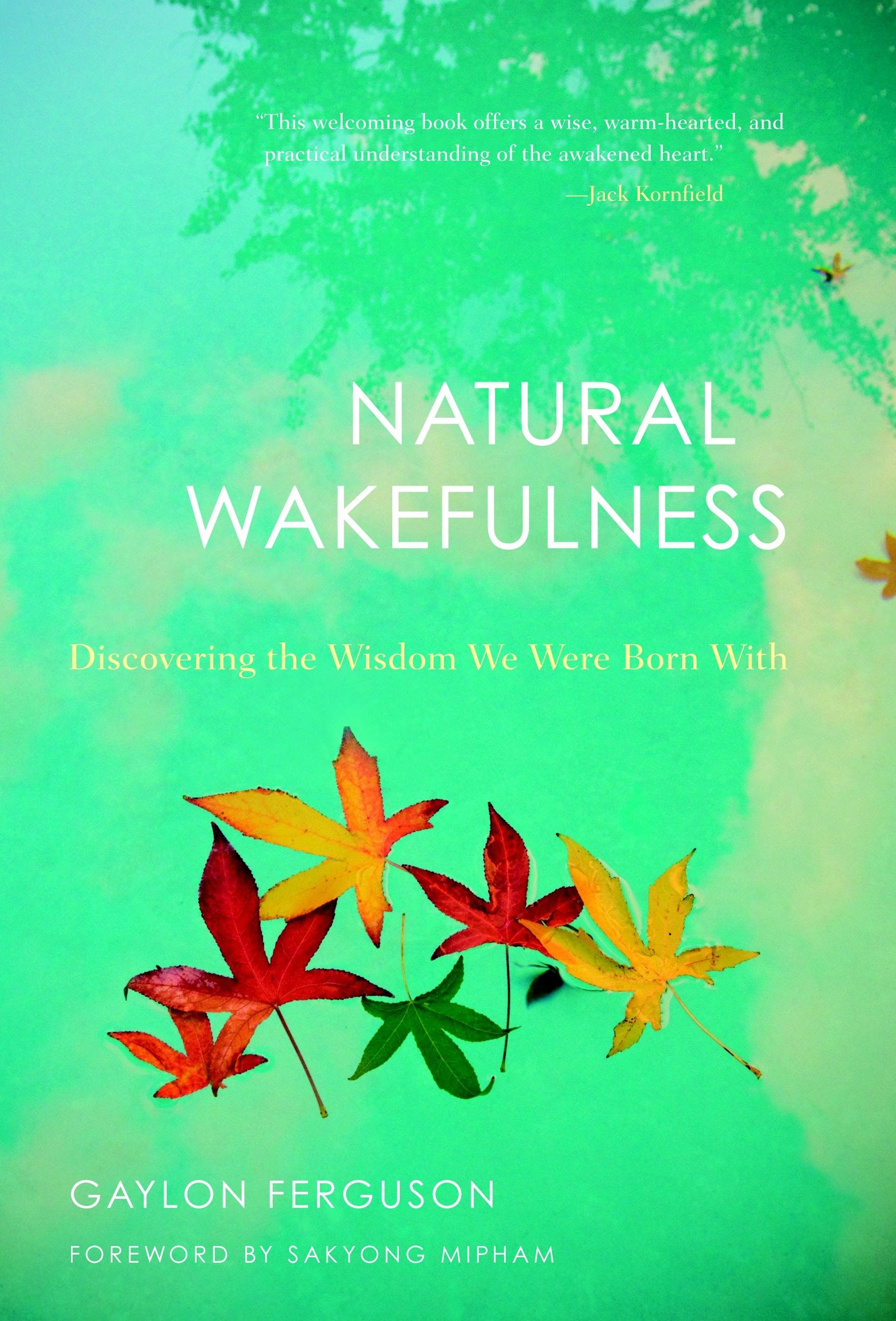 Natural Wakefulness - Discovering the Wisdom We Were Born With