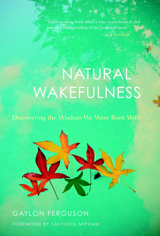 Natural Wakefulness - Discovering the Wisdom We Were Born With