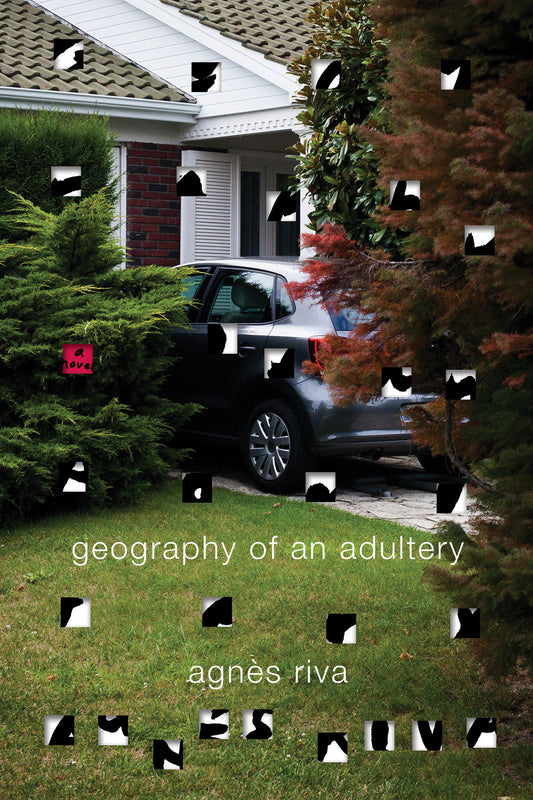 Geography of an Adultery - A Novel