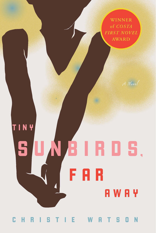 Tiny Sunbirds, Far Away - A Novel