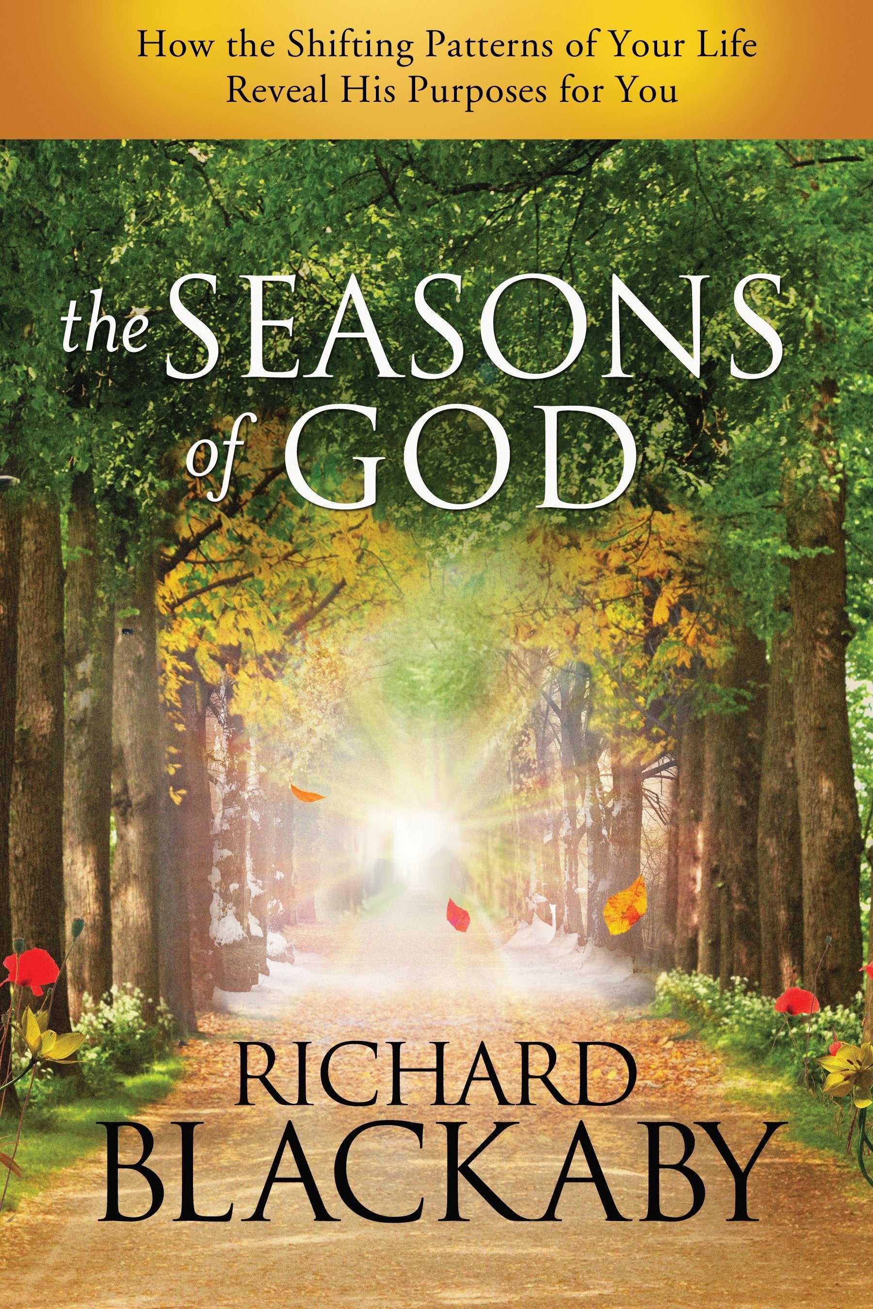 The Seasons of God - How the Shifting Patterns of Your Life Reveal His Purposes for You