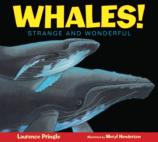Whales! - Strange and Wonderful (Strange and Wonderful)