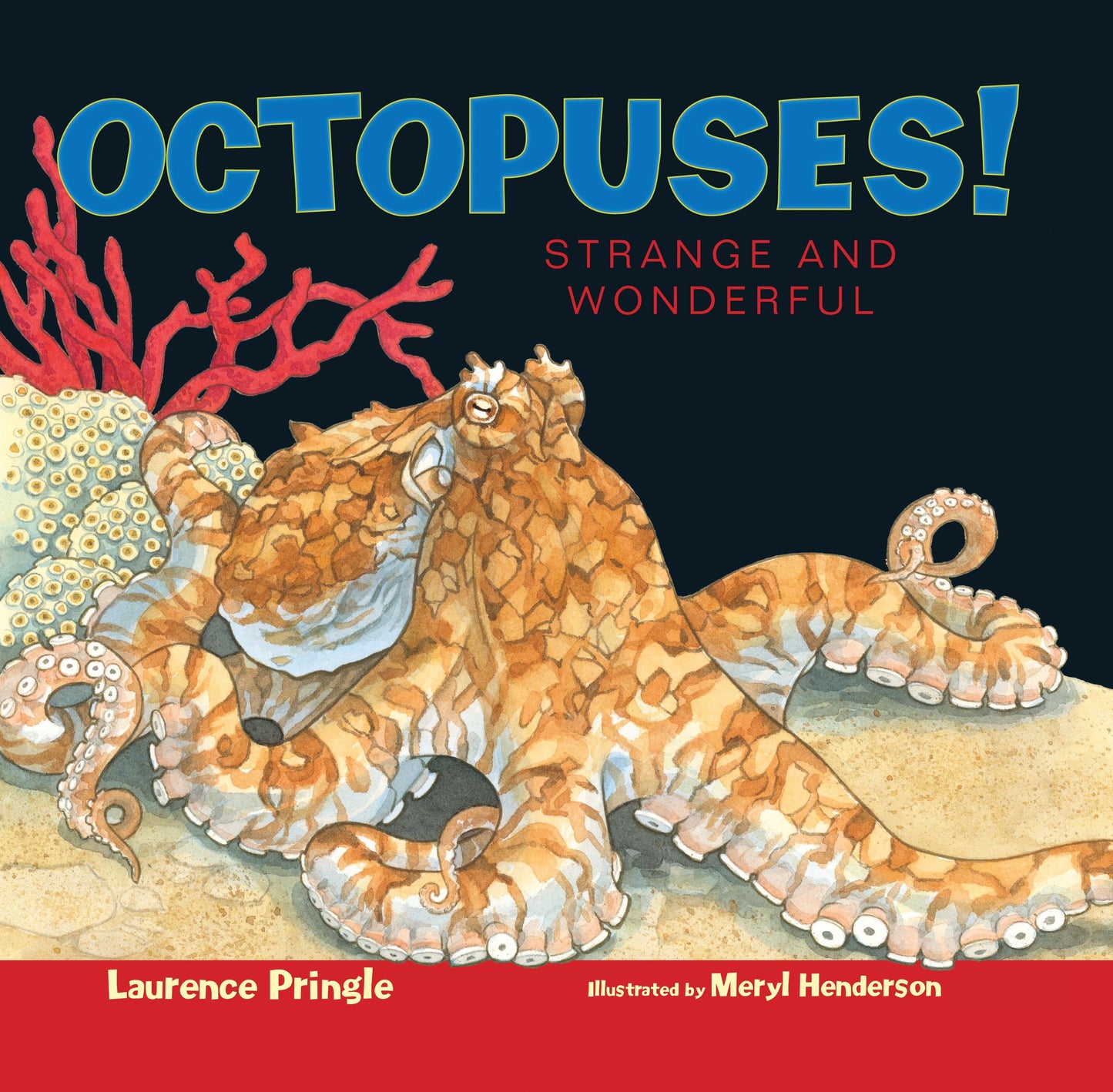 Octopuses! - Strange and Wonderful (Strange and Wonderful)