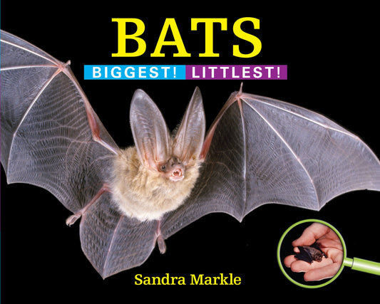 Bats - Biggest! Littlest! (Biggest! Littlest!)