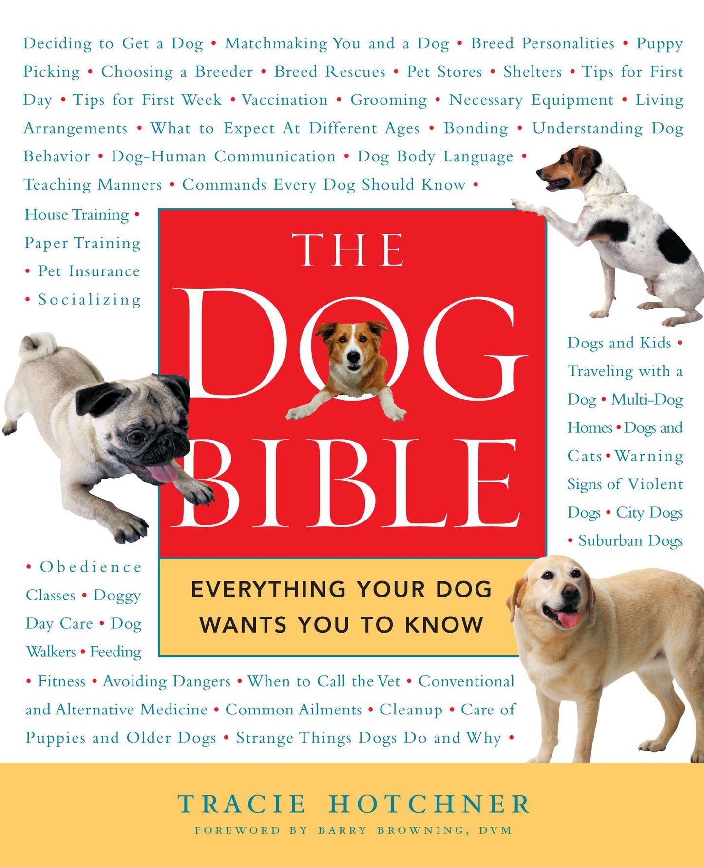 The Dog Bible - Everything Your Dog Wants You to Know