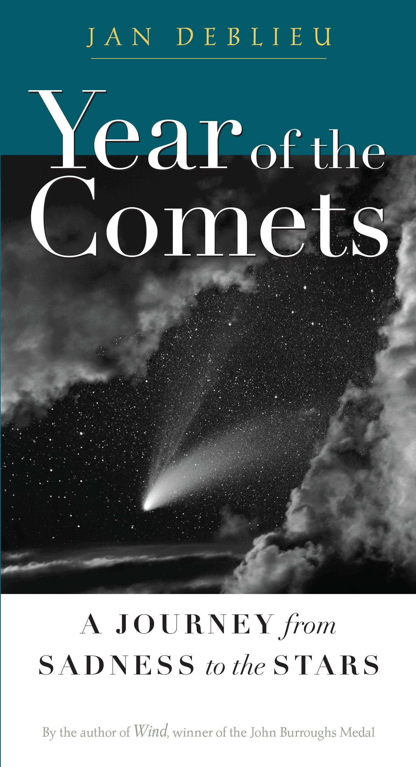 Year of the Comets - A Journey from Sadness to the Stars