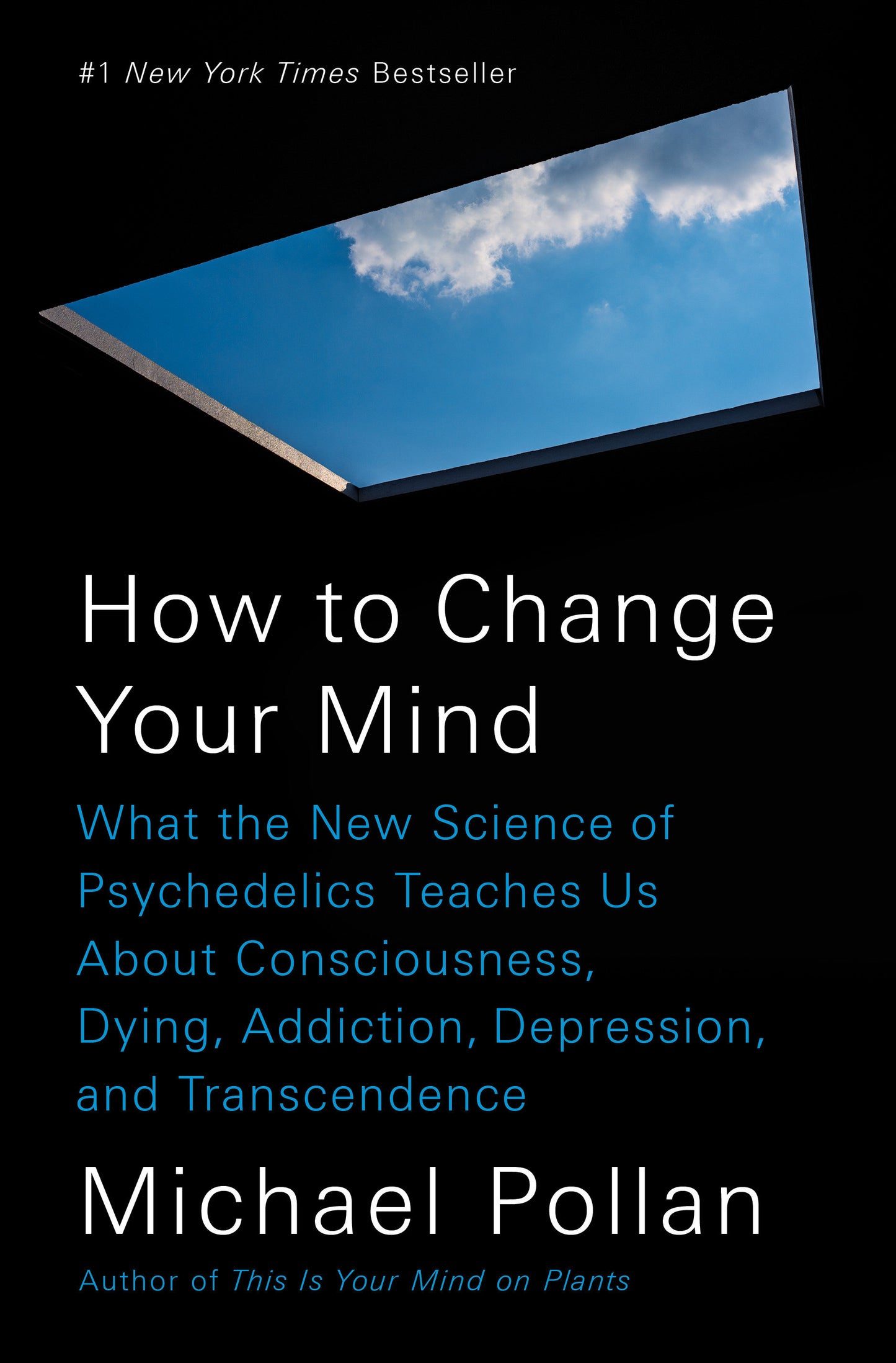 How to Change Your Mind - What the New Science of Psychedelics Teaches Us About Consciousness, Dying, Addiction, Depression, and Transcendence