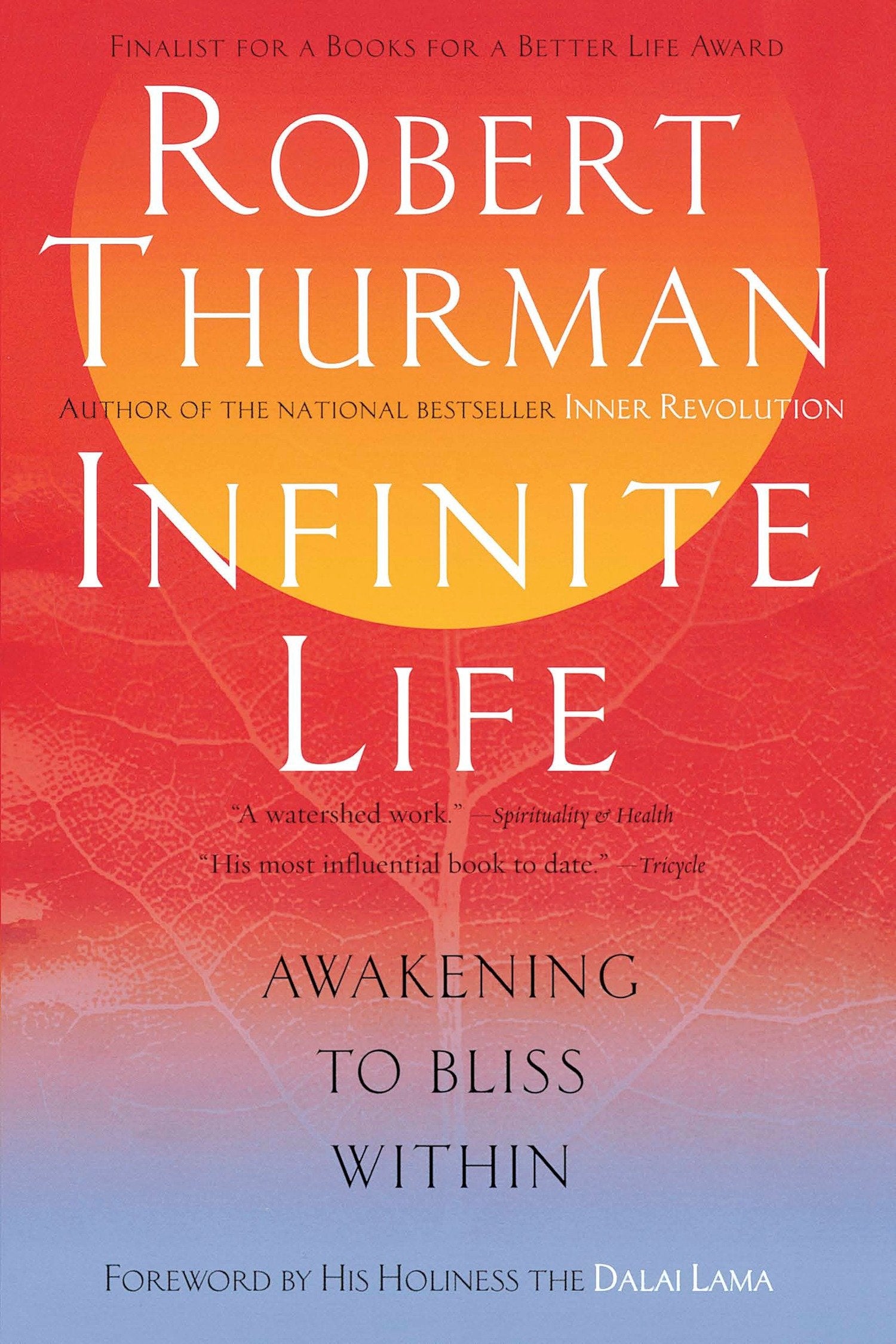 Infinite Life - Awakening to Bliss Within