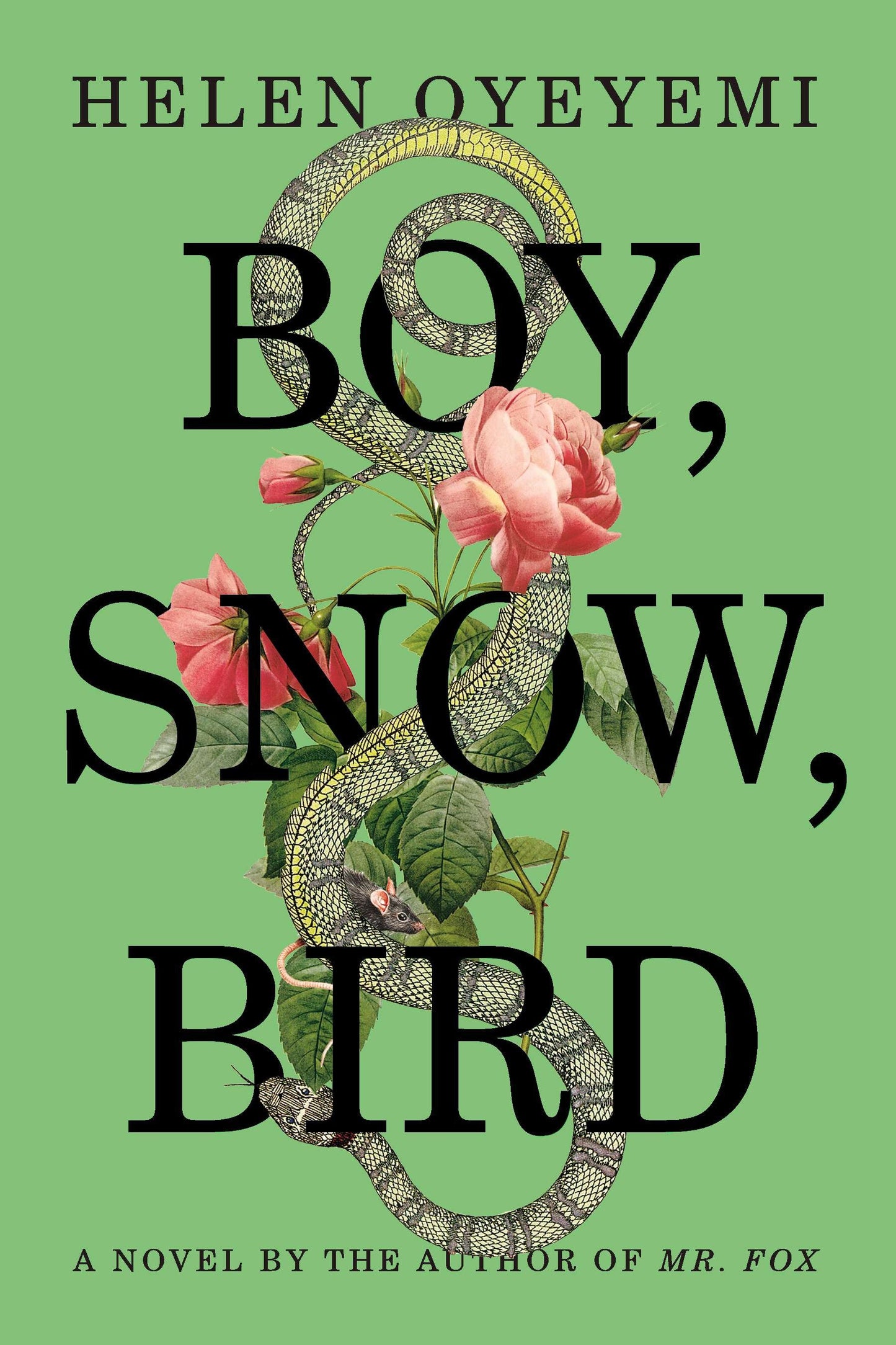 Boy, Snow, Bird - A Novel