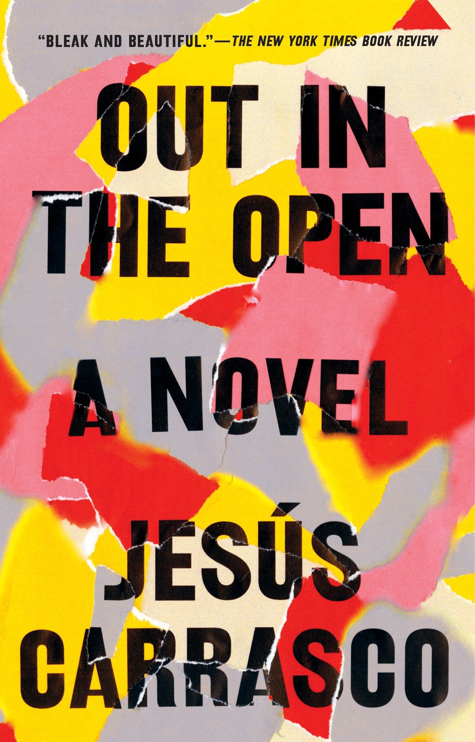 Out in the Open - A Novel