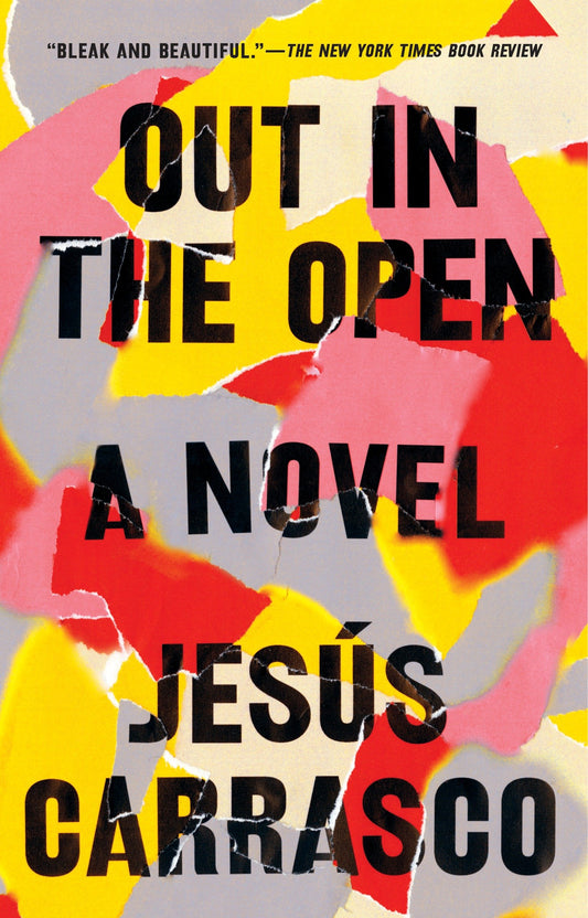 Out in the Open - A Novel