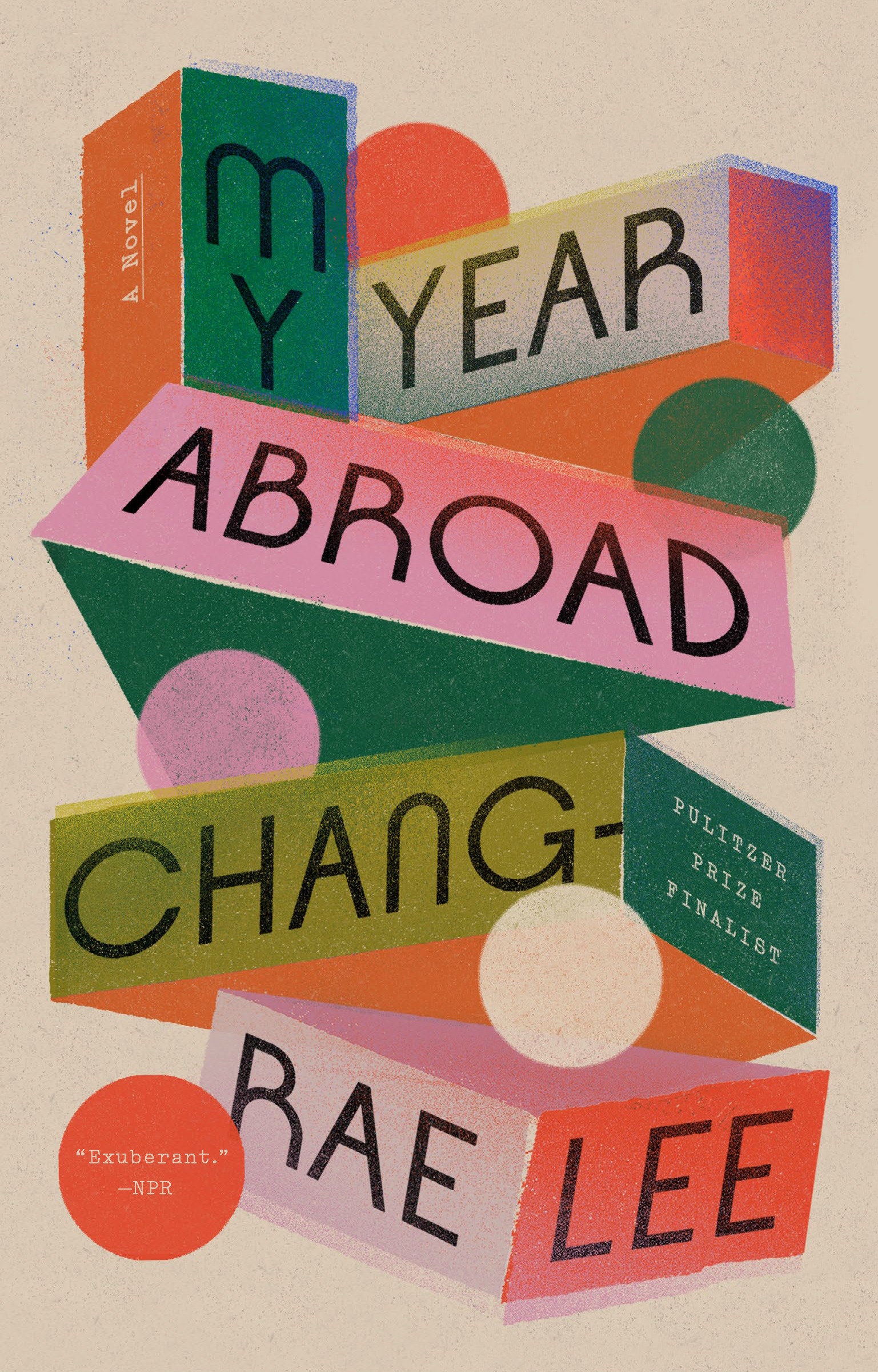 My Year Abroad - A Novel
