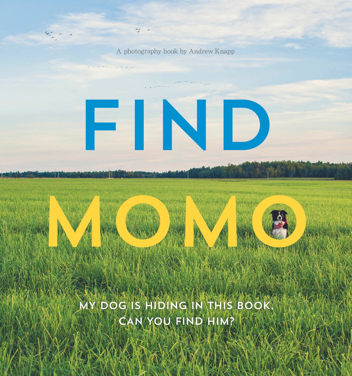Find Momo - A Photography Book (Find Momo) (Book:1)