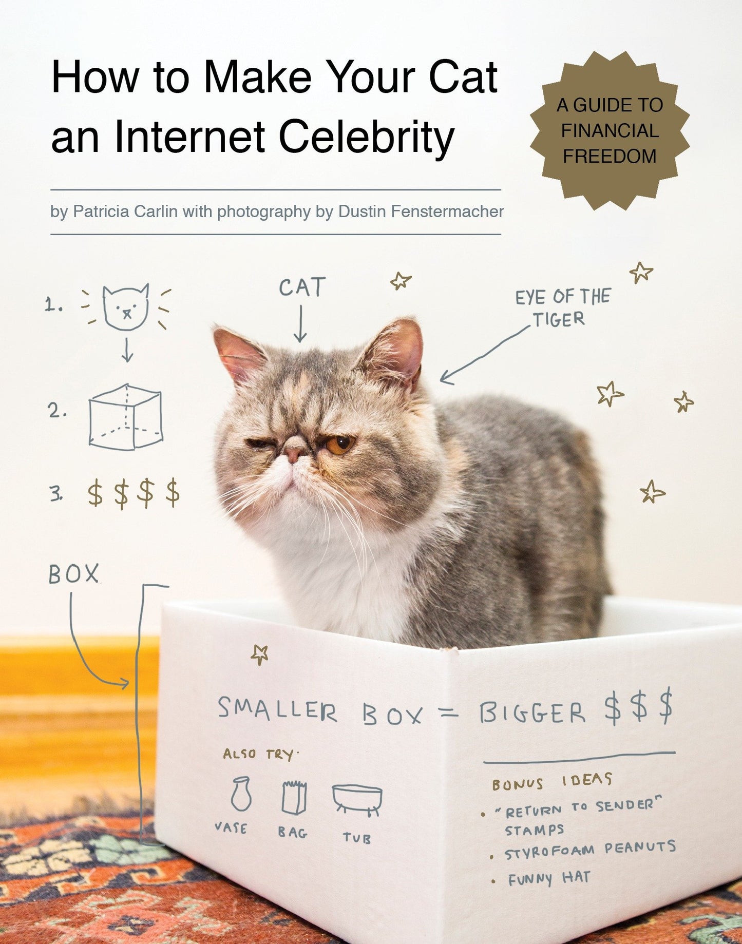 How to Make Your Cat an Internet Celebrity - A Guide to Financial Freedom (Internet Celebrity) (Book:1)