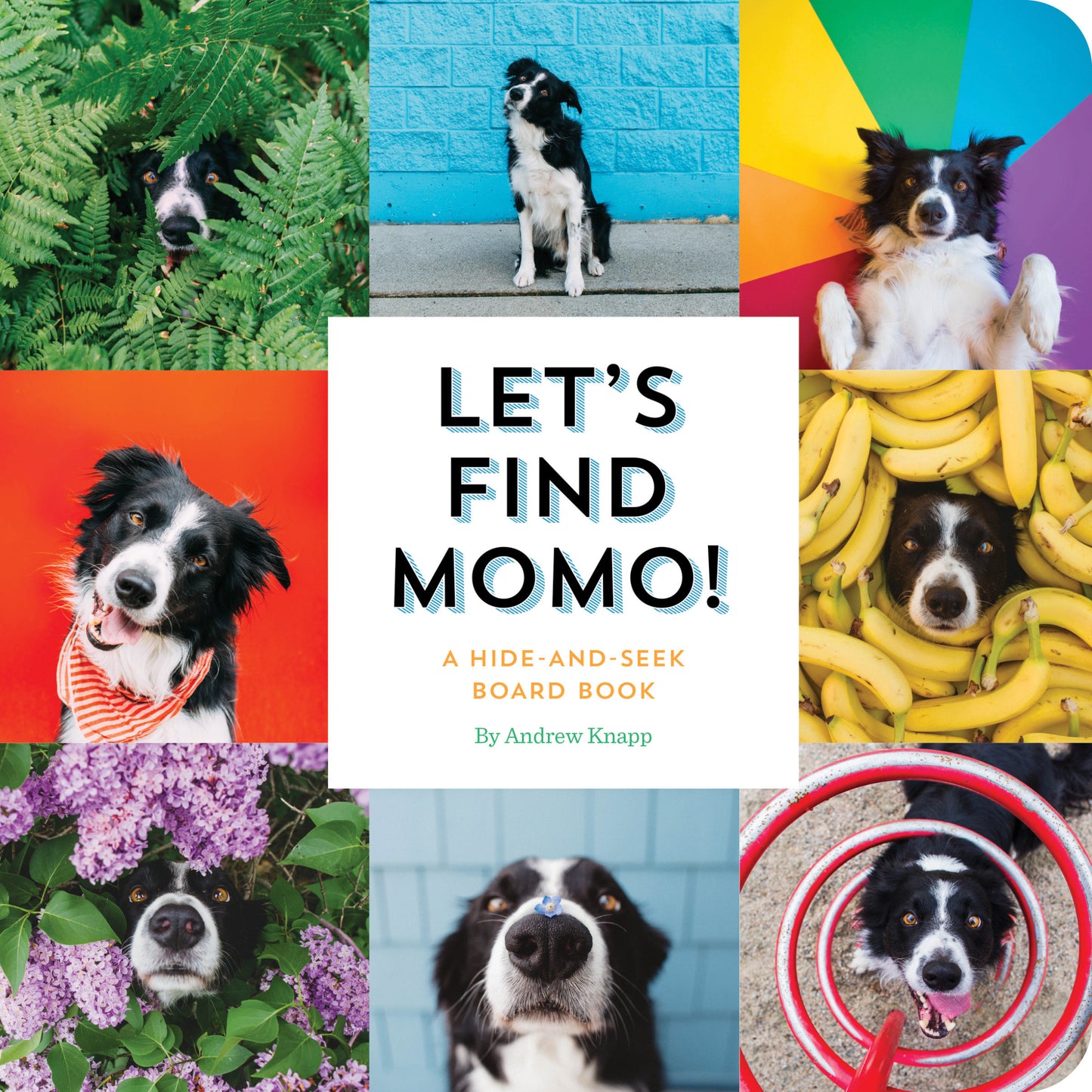 Let's Find Momo! - A Hide-and-Seek Board Book (Find Momo) (Book:3)