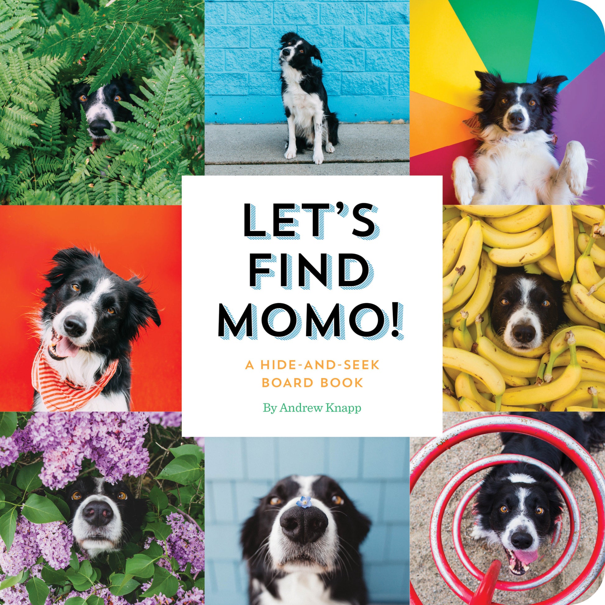 Let's Find Momo! - A Hide-and-Seek Board Book (Find Momo) (Book:3)