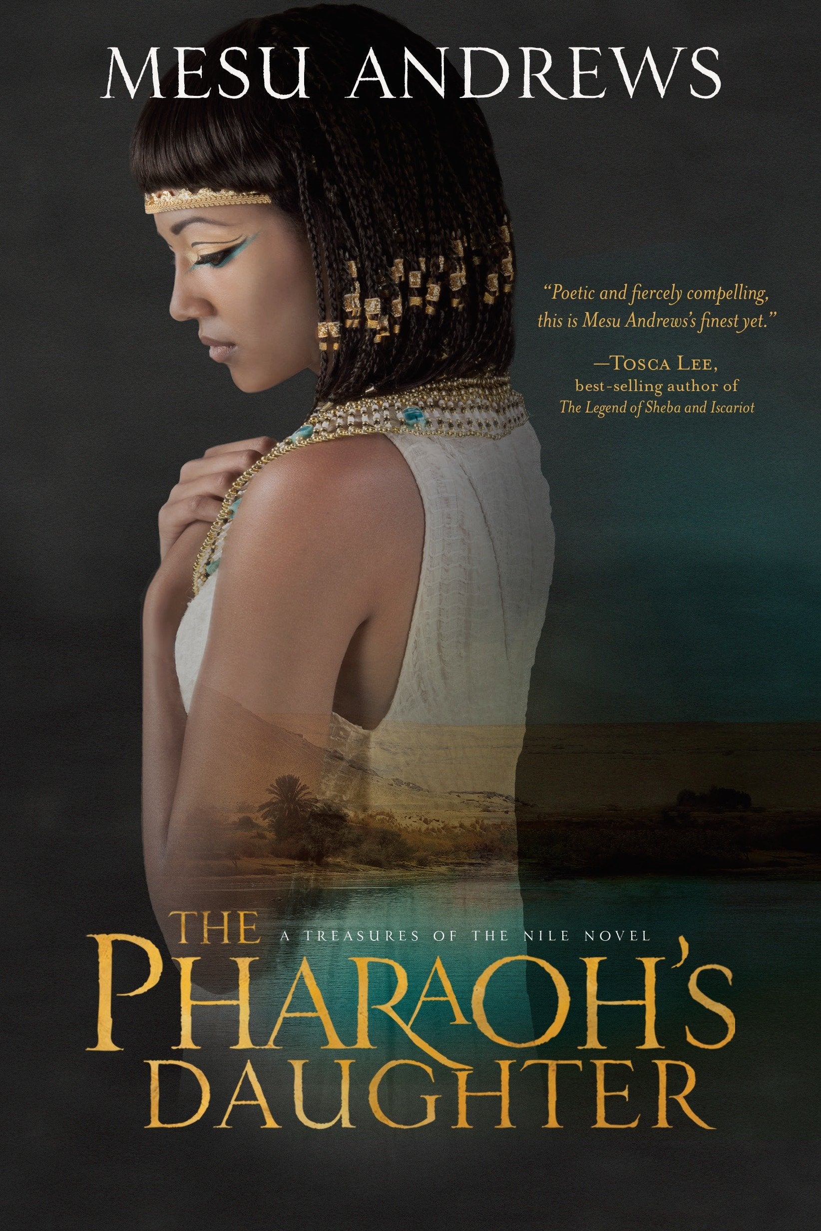 The Pharaoh's Daughter - A Treasures of the Nile Novel (Treasures of the Nile) (Book:1)