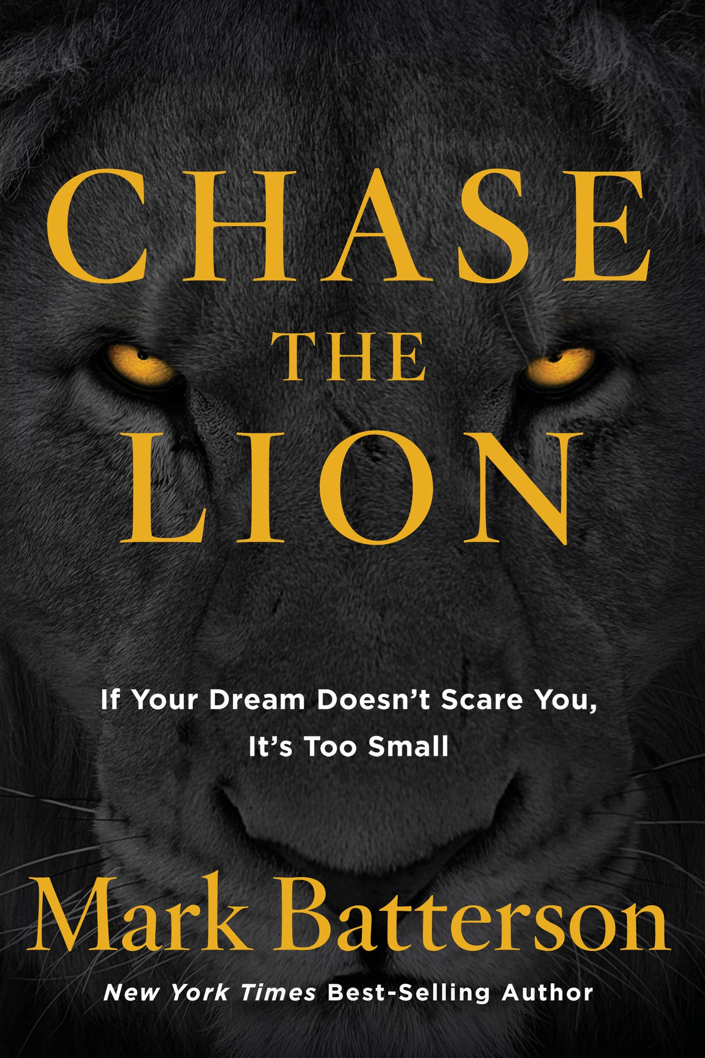 Chase the Lion - If Your Dream Doesn't Scare You, It's Too Small
