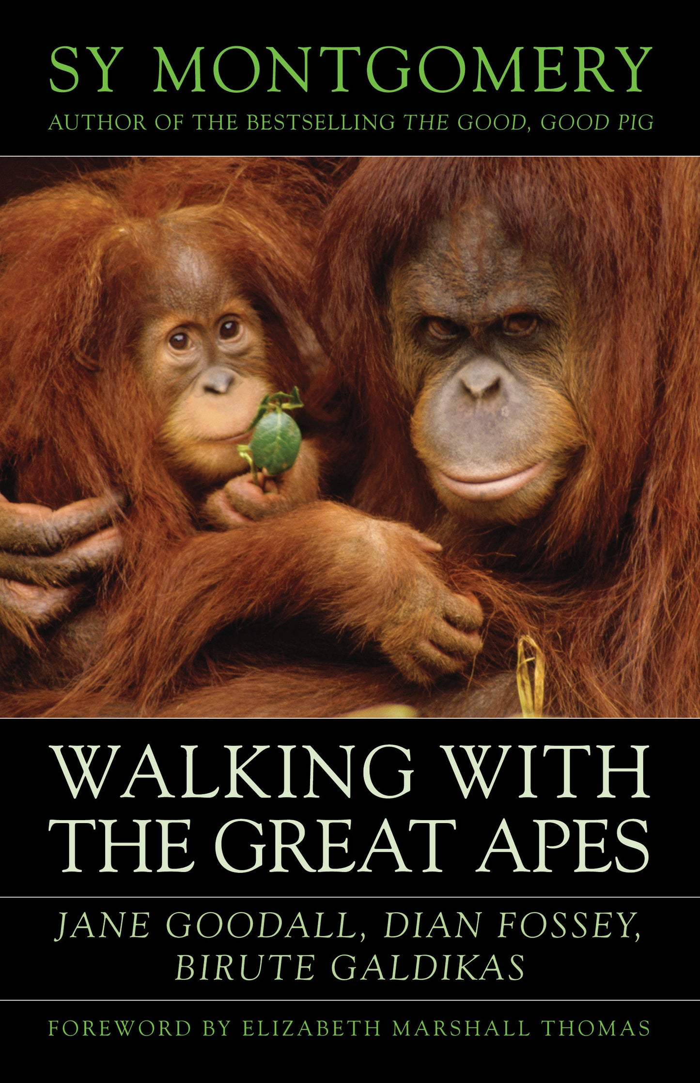 Walking with the Great Apes - Jane Goodall, Dian Fossey, Birut� Galdikas