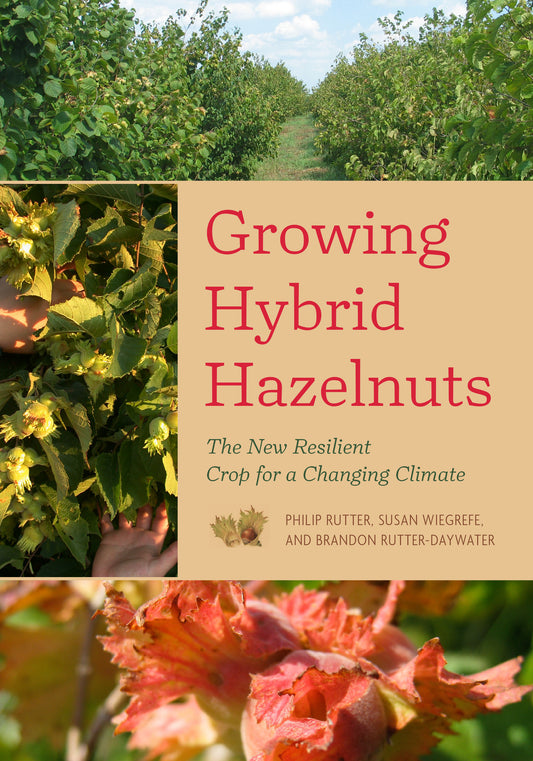 Growing Hybrid Hazelnuts - The New Resilient Crop for a Changing Climate
