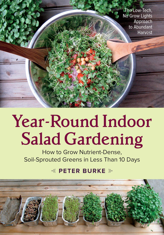 Year-Round Indoor Salad Gardening - How to Grow Nutrient-Dense, Soil-Sprouted Greens in Less Than 10 days