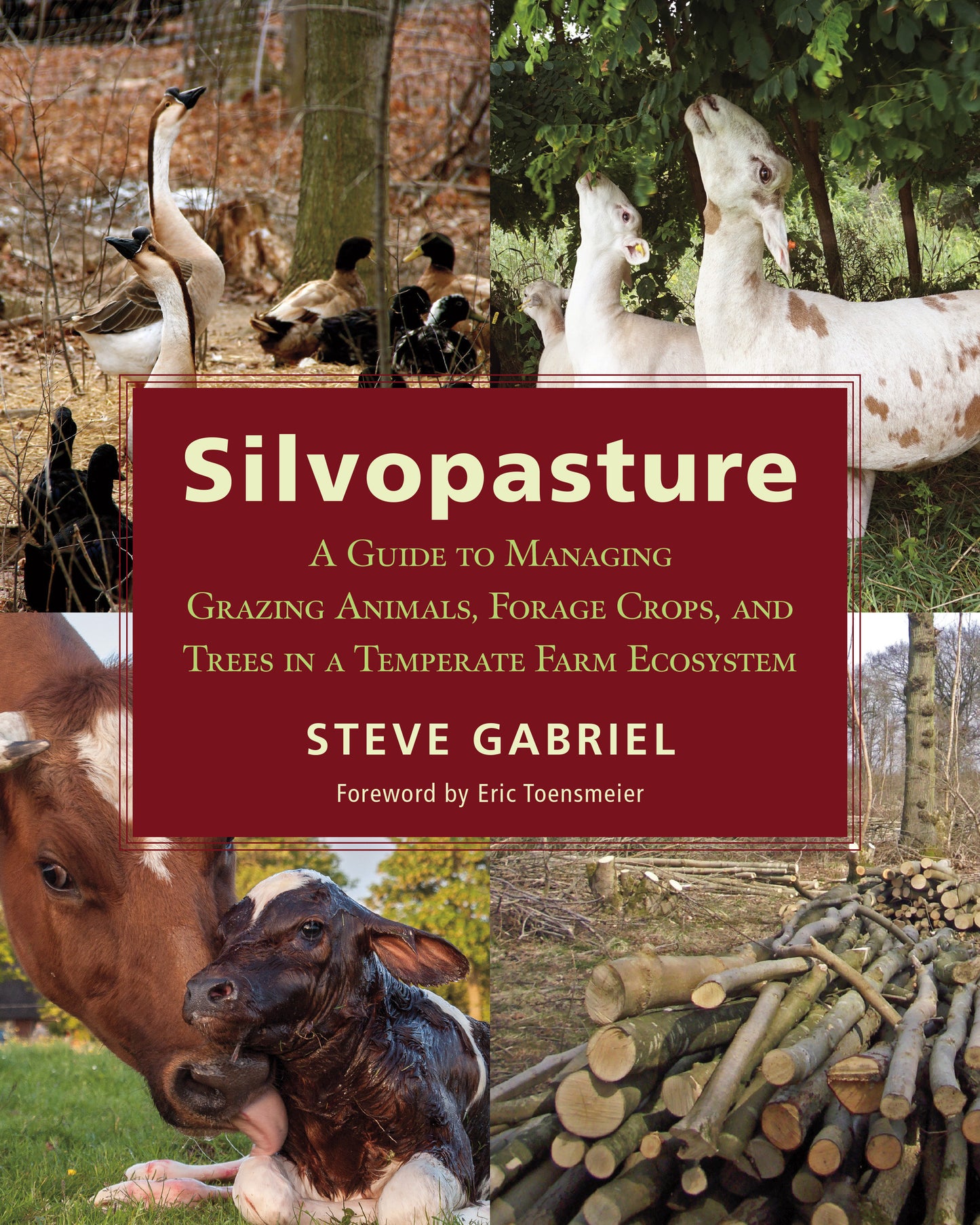 Silvopasture - A Guide to Managing Grazing Animals, Forage Crops, and Trees in a Temperate Farm Ecosystem