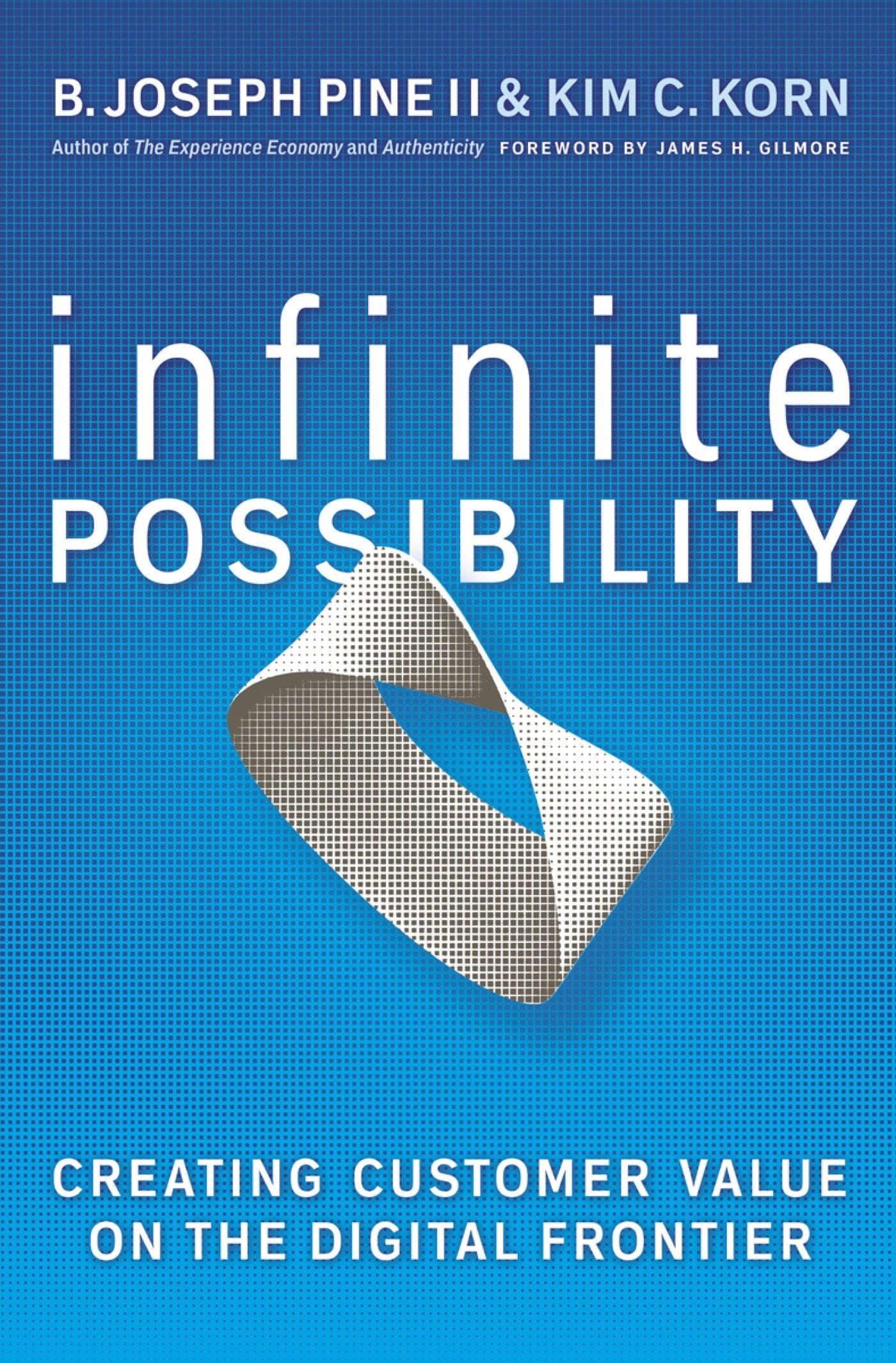 Infinite Possibility - Creating Customer Value on the Digital Frontier