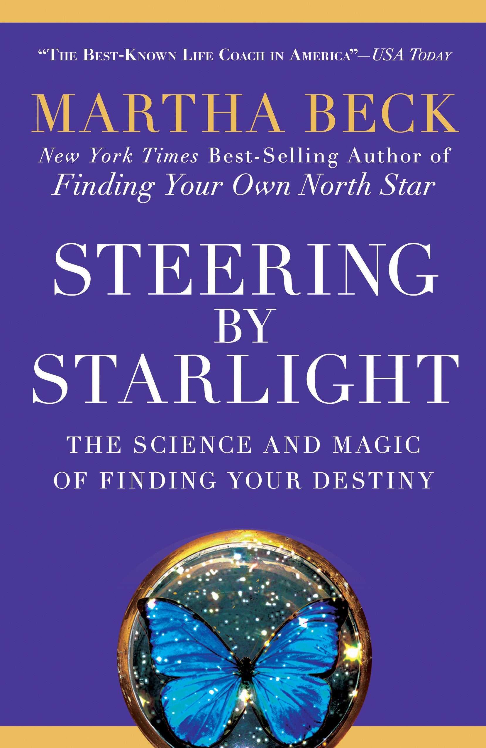 Steering by Starlight - The Science and Magic of Finding Your Destiny
