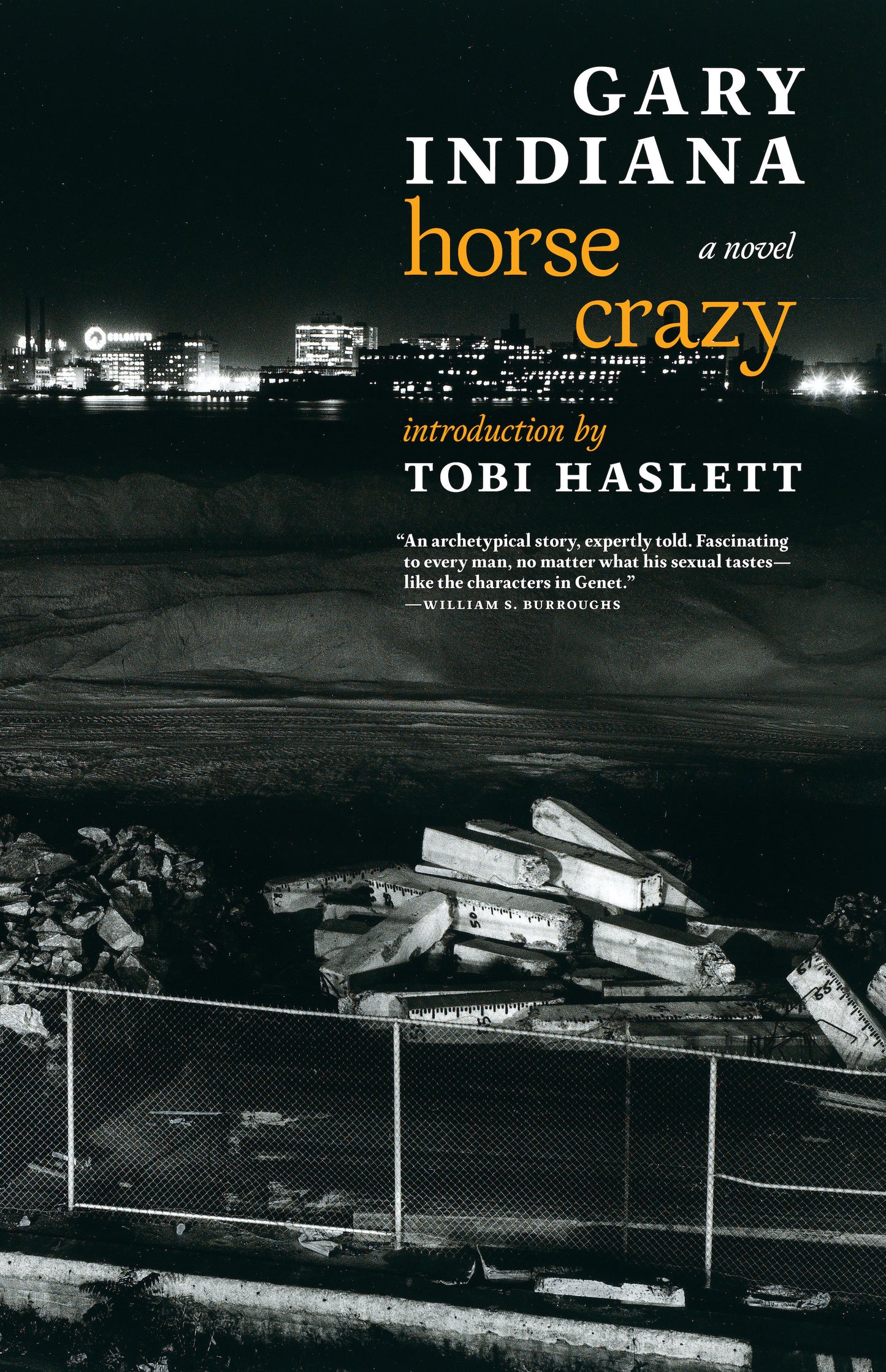 Horse Crazy - A novel