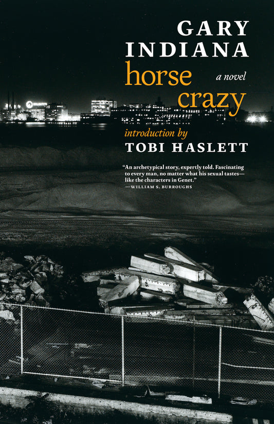 Horse Crazy - A novel