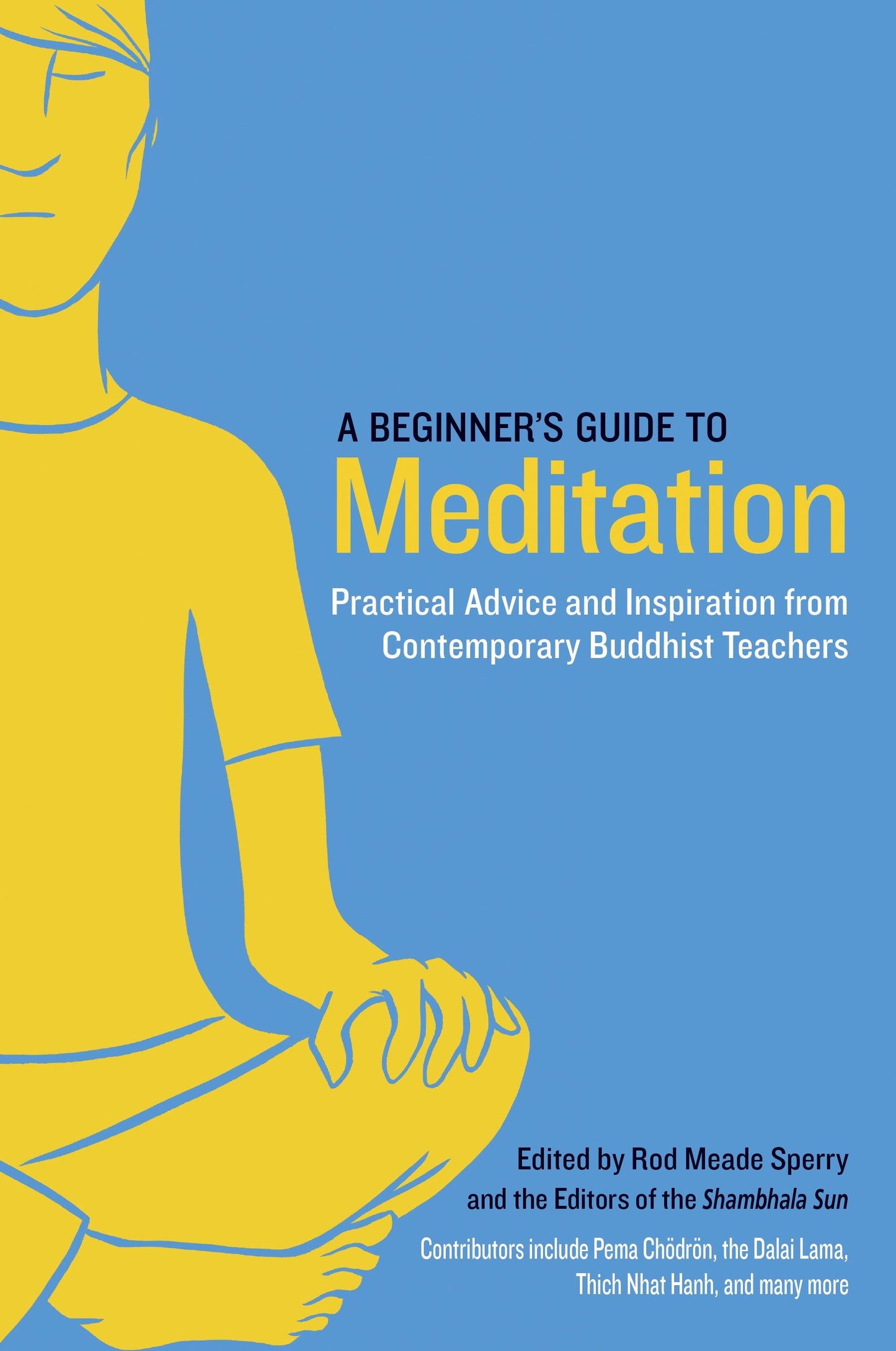 A Beginner's Guide to Meditation - Practical Advice and Inspiration from Contemporary Buddhist Teachers