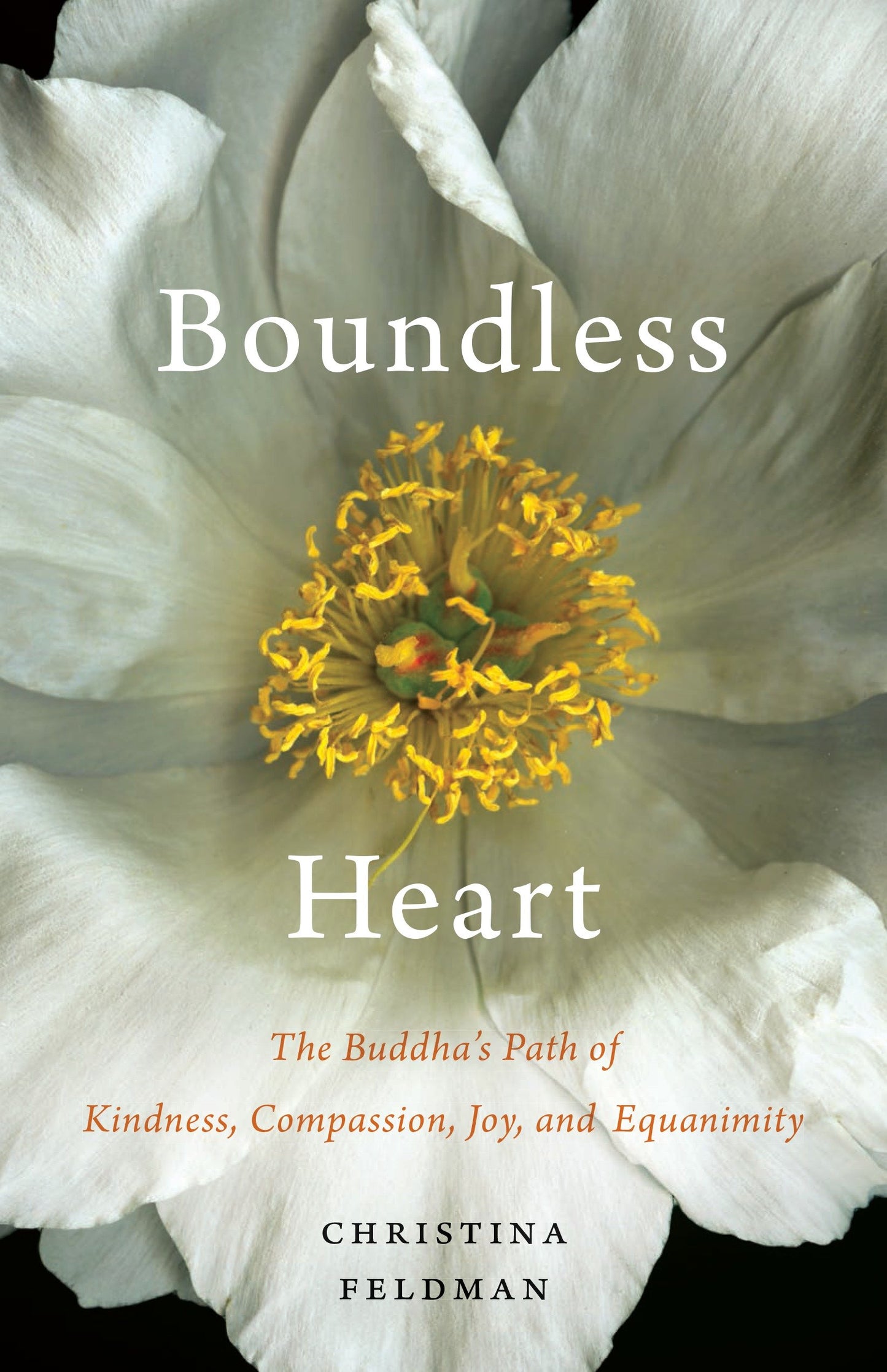 Boundless Heart - The Buddha's Path of Kindness, Compassion, Joy, and Equanimity