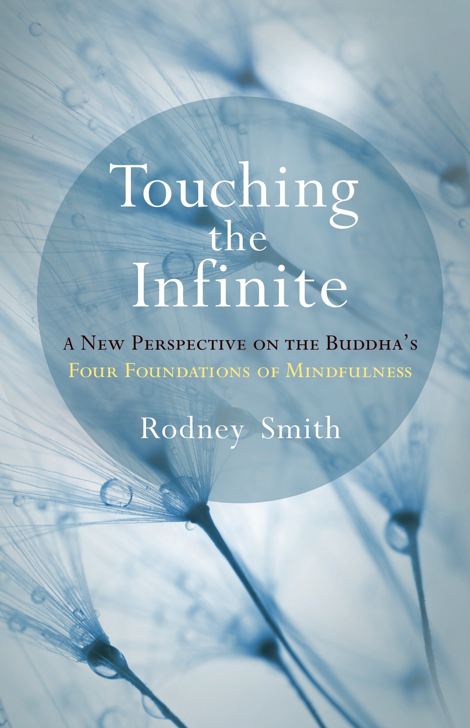 Touching the Infinite - A New Perspective on the Buddha's Four Foundations of Mindfulness