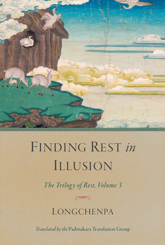 Finding Rest in Illusion (Trilogy of Rest) (Book:3)