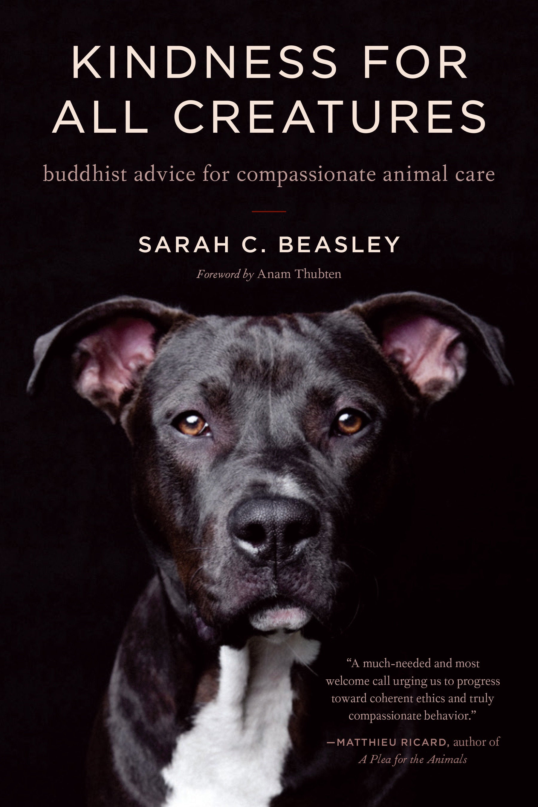Kindness for All Creatures - Buddhist Advice for Compassionate Animal Care