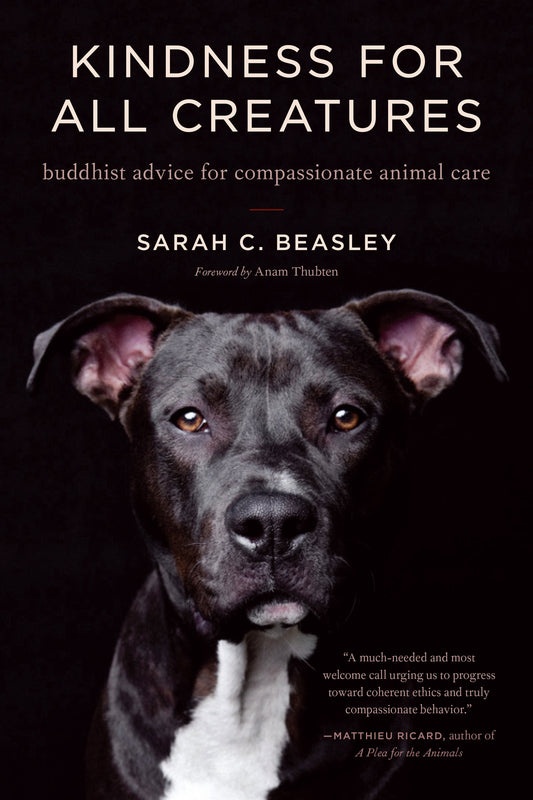 Kindness for All Creatures - Buddhist Advice for Compassionate Animal Care