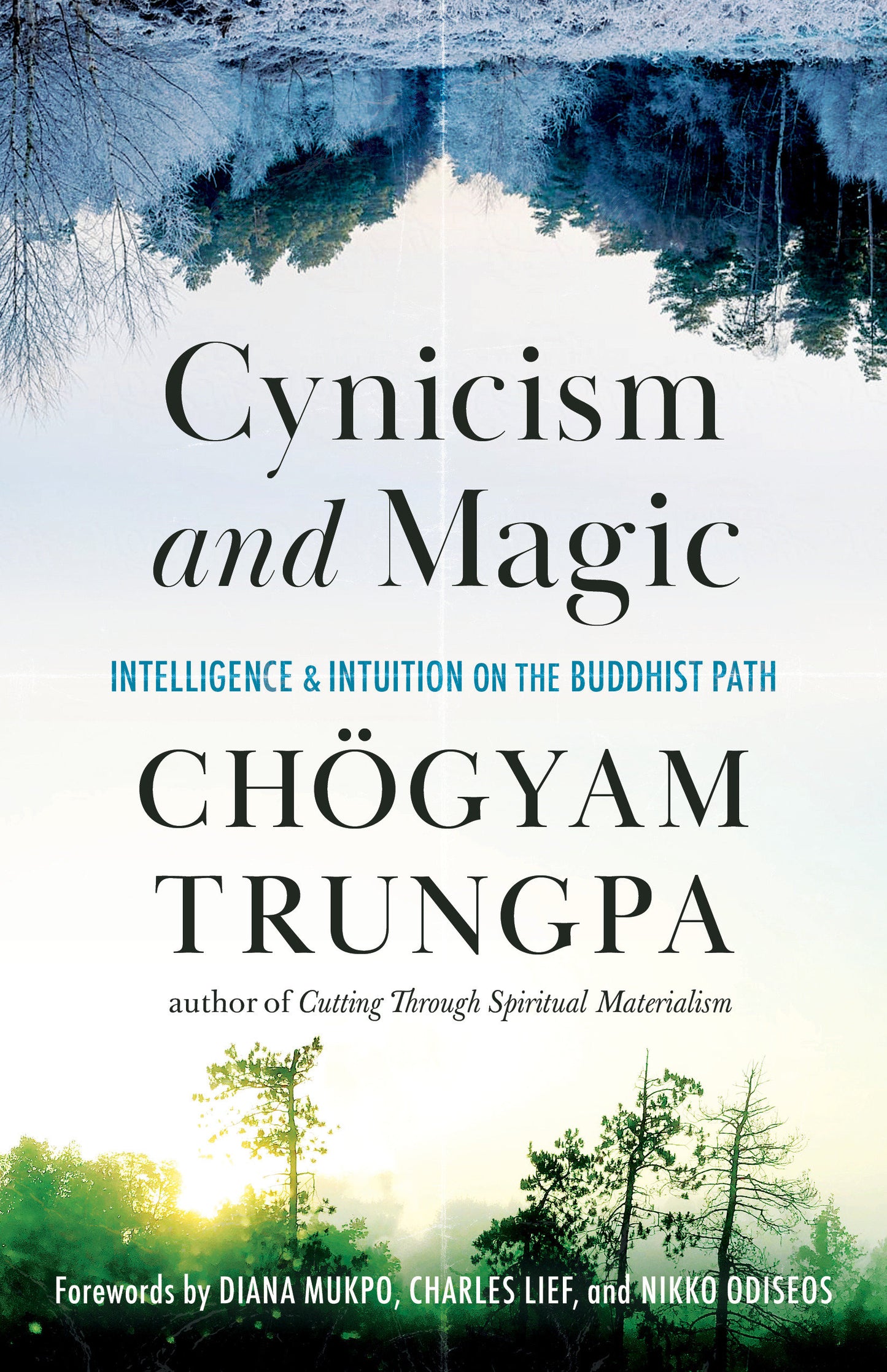 Cynicism and Magic - Intelligence and Intuition on the Buddhist Path