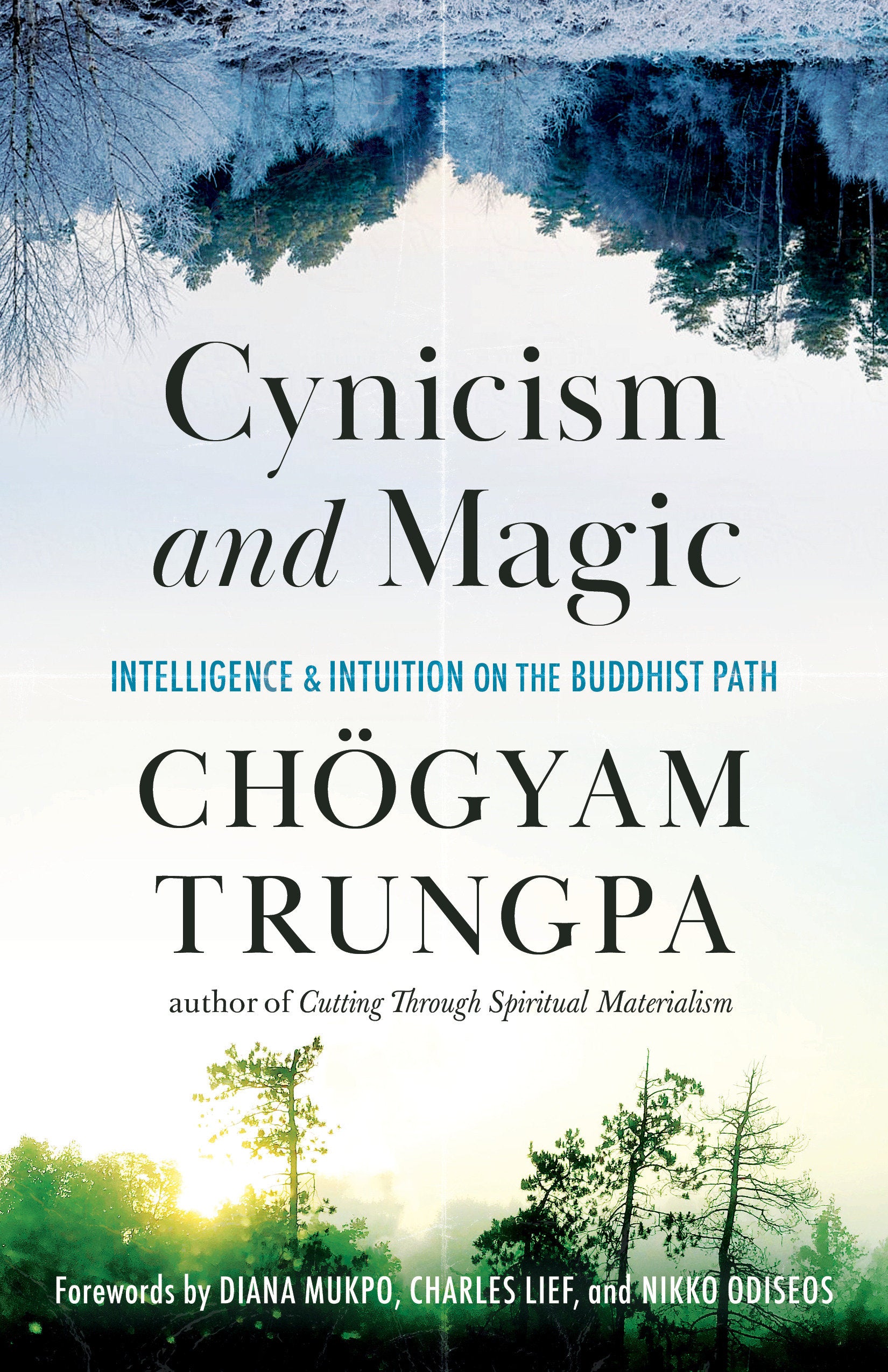 Cynicism and Magic - Intelligence and Intuition on the Buddhist Path