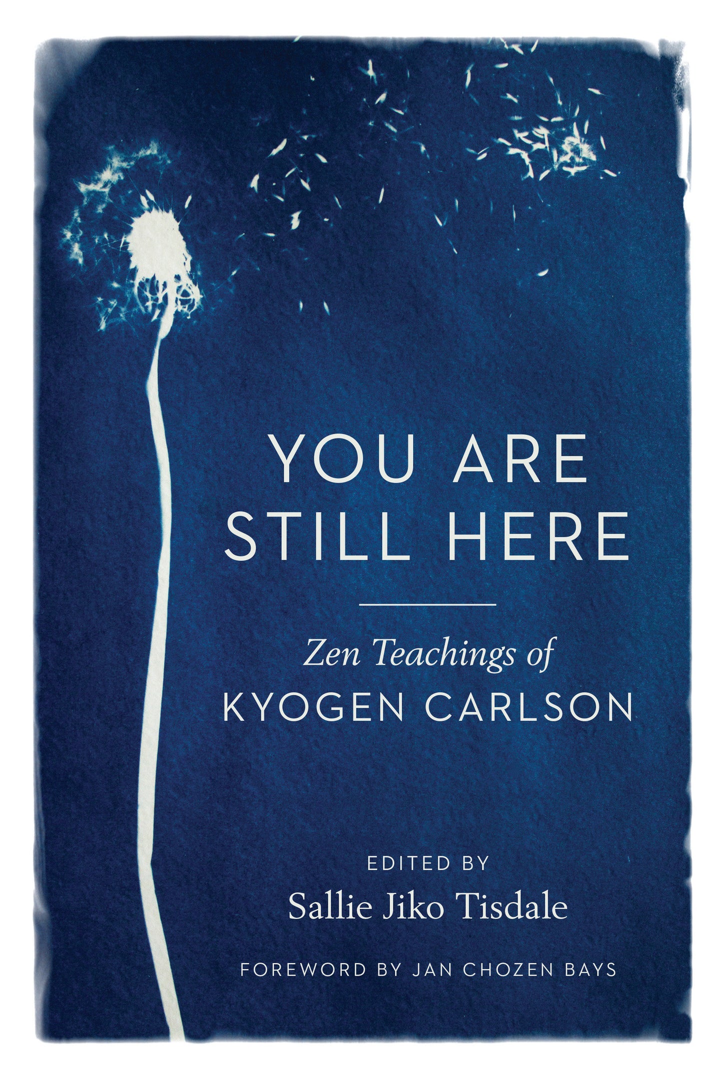 You Are Still Here - Zen Teachings of Kyogen Carlson