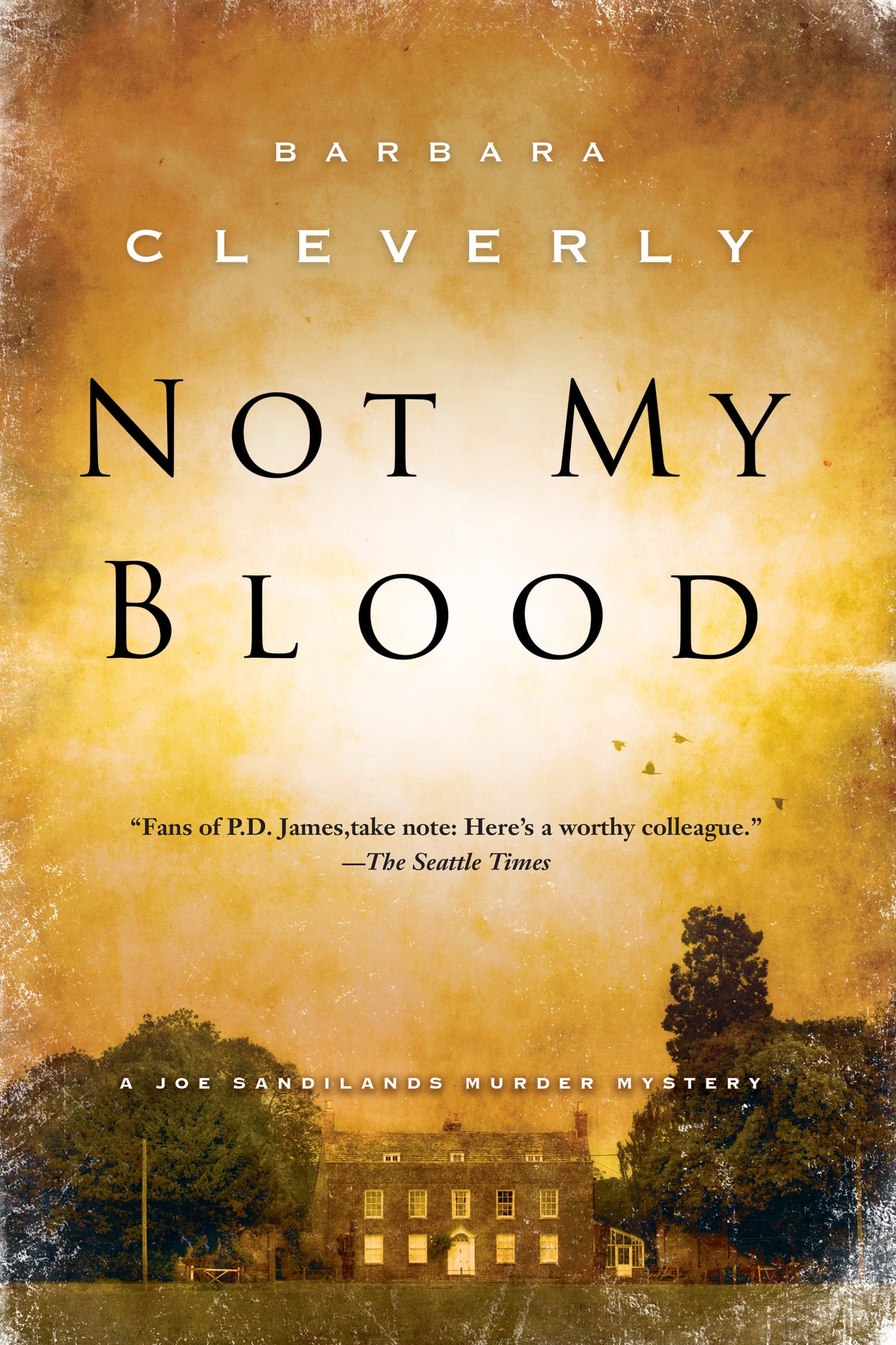 Not My Blood (A Detective Joe Sandilands Novel) (Book:10)