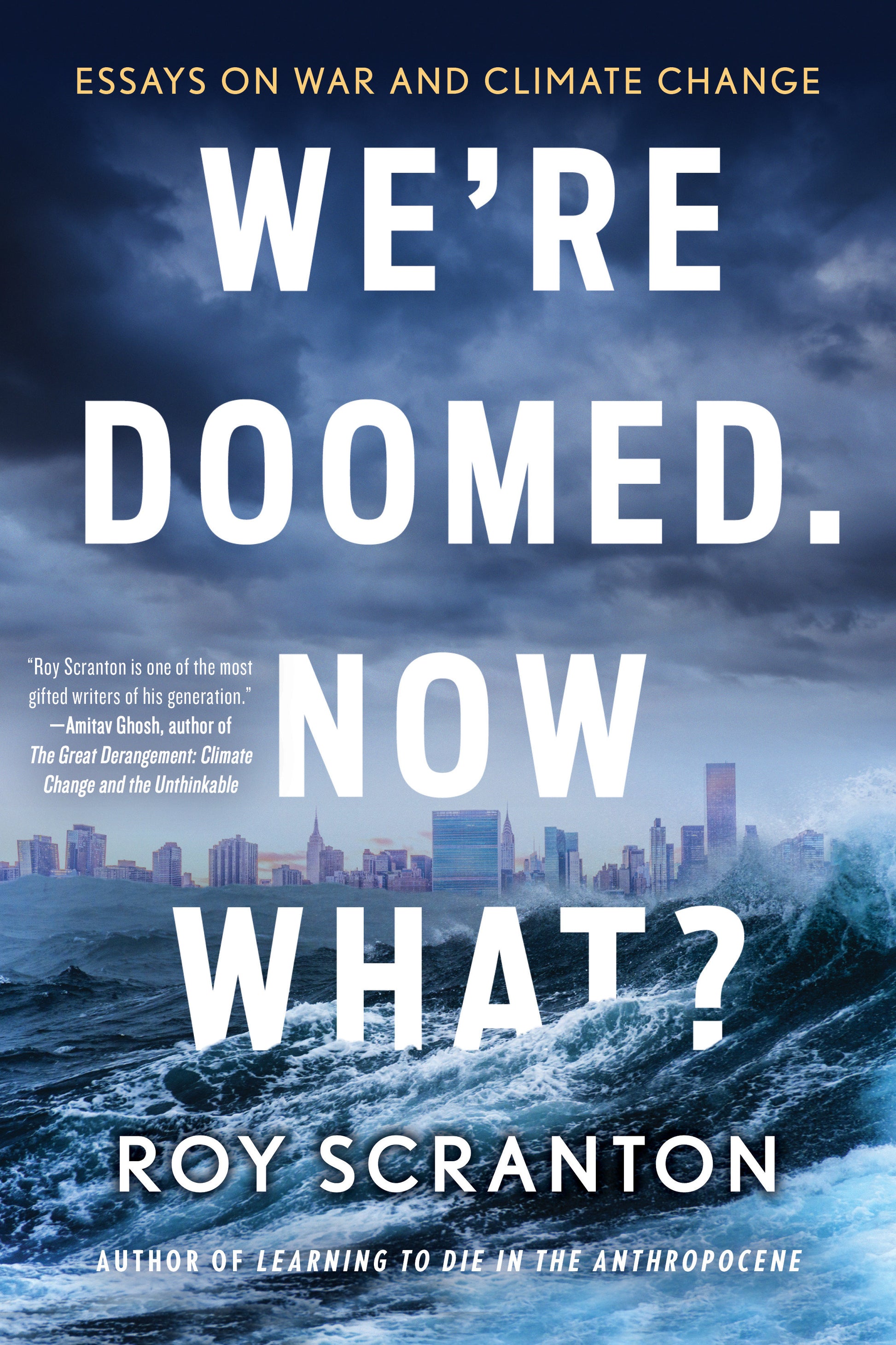 We're Doomed. Now What? - Essays on War and Climate Change