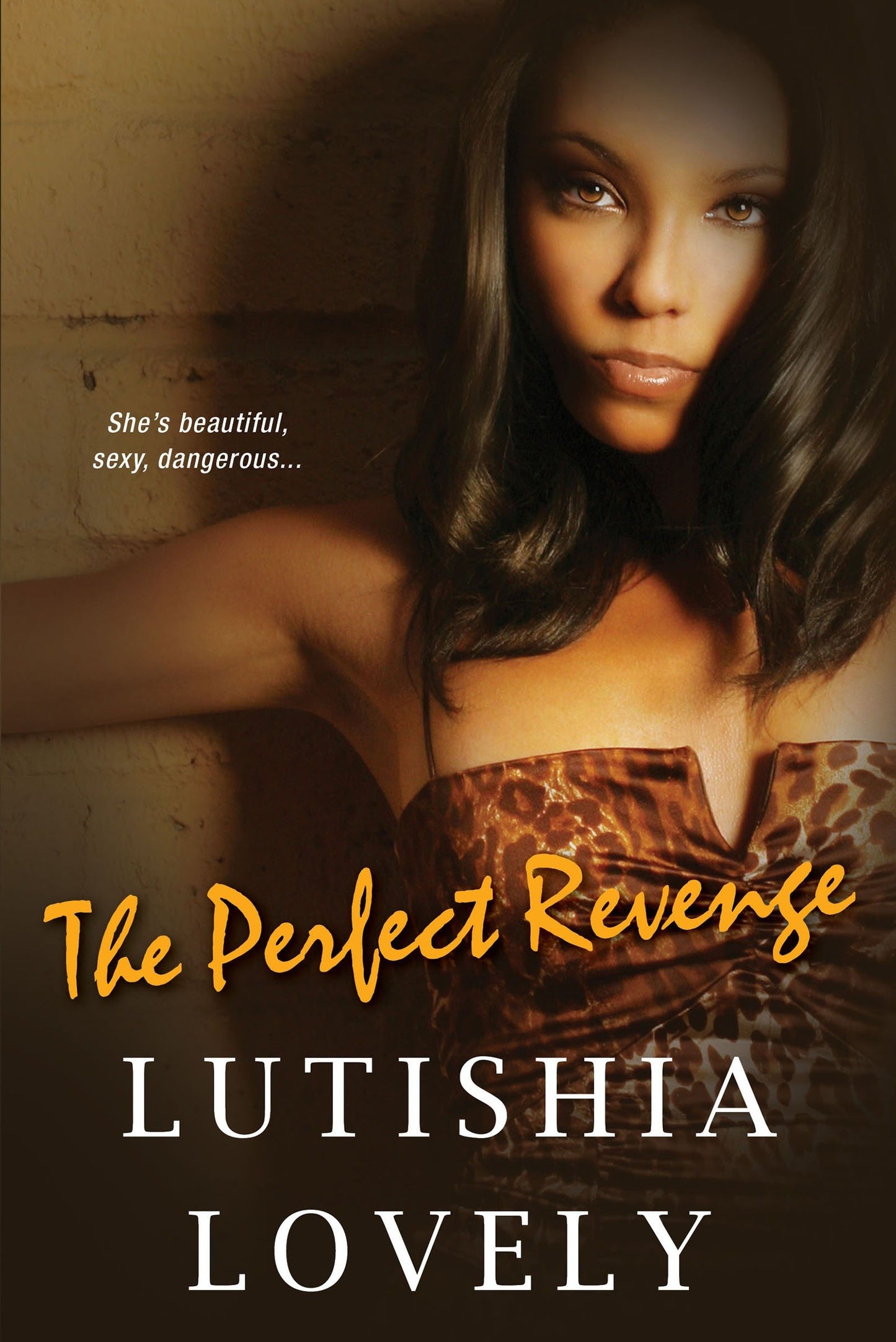 The Perfect Revenge (The Shady Sisters Trilogy) (Book:3)