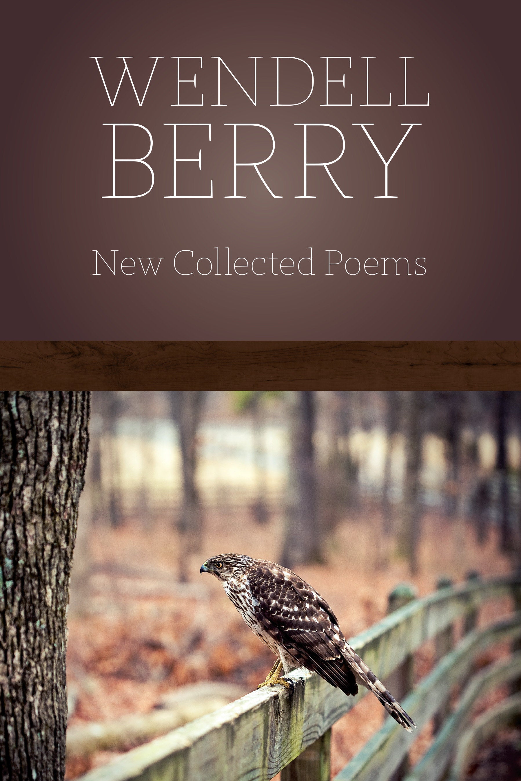 New Collected Poems - Poems, 19642010