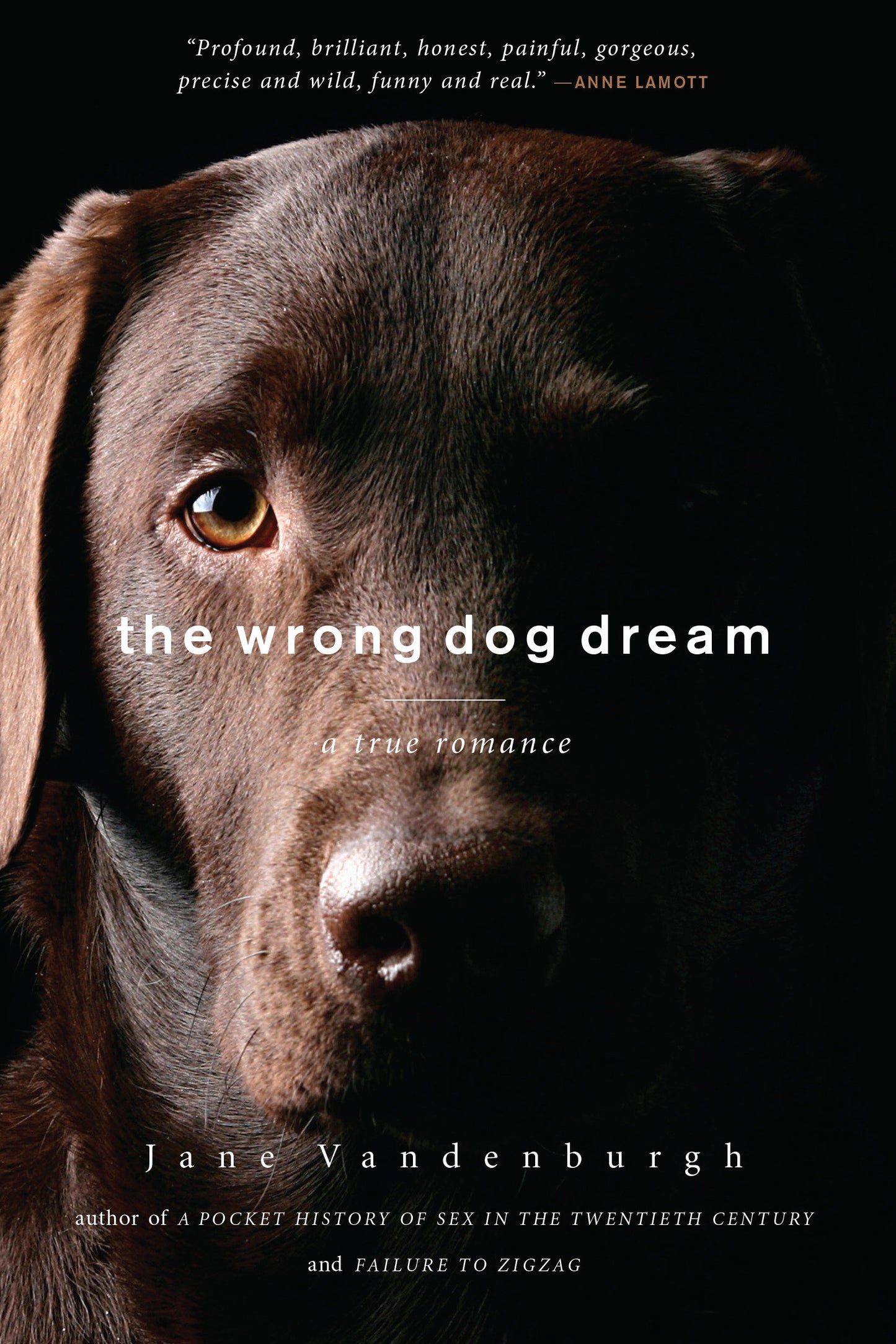 The Wrong Dog Dream - A True Romance